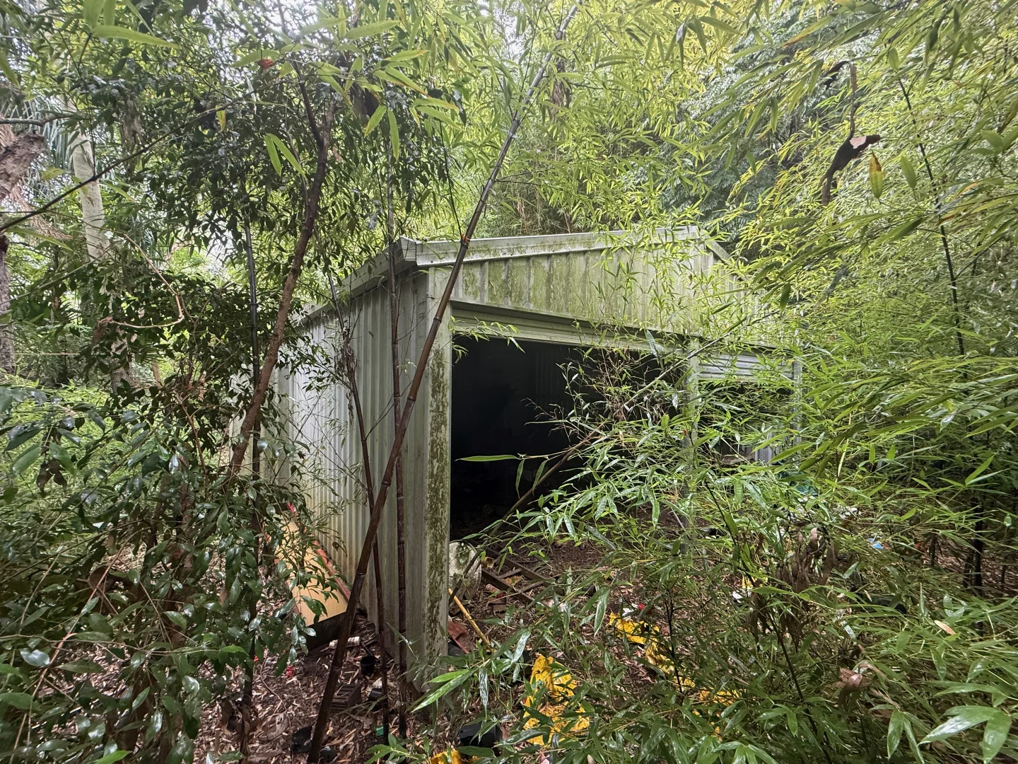 Image 29