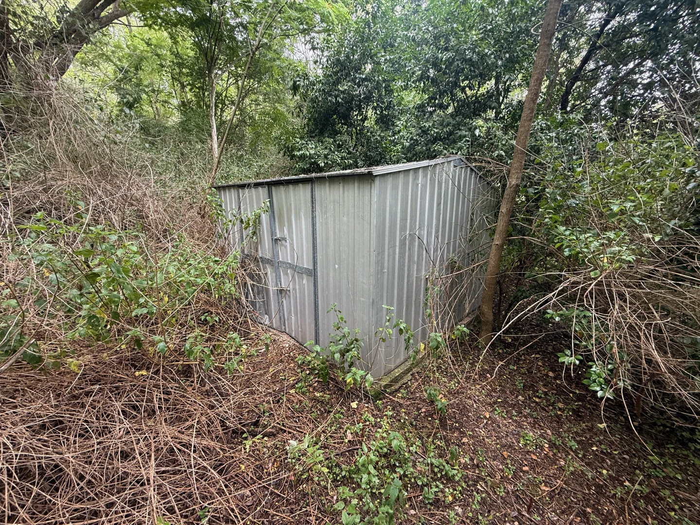 Image 32