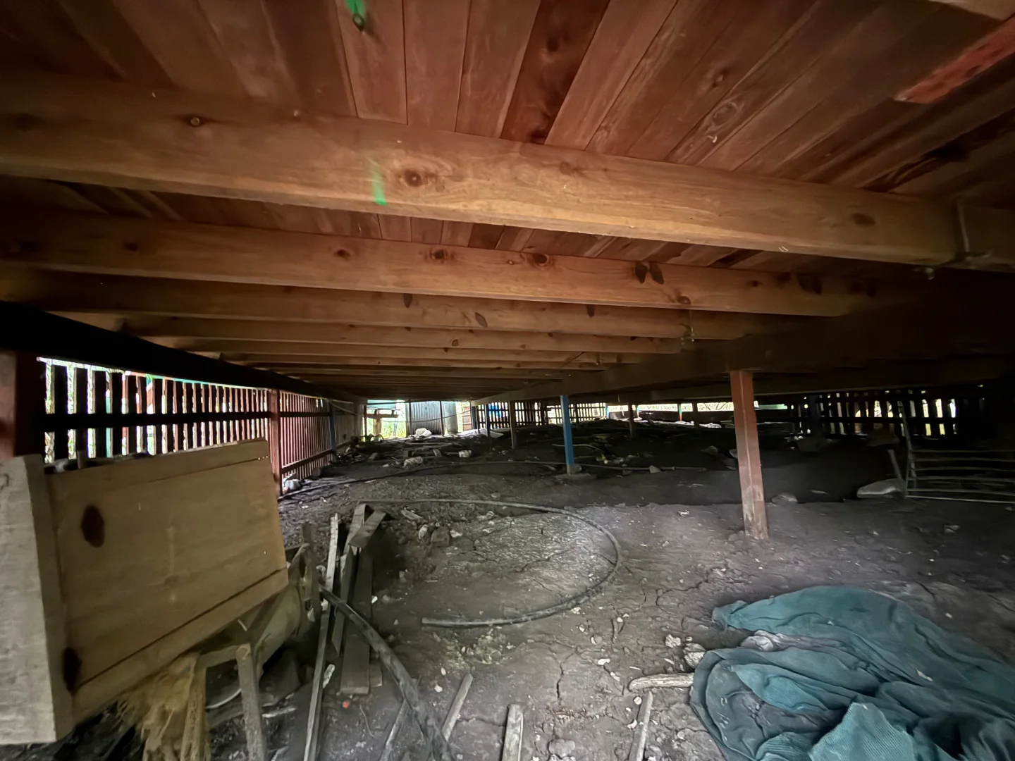 Image 6
