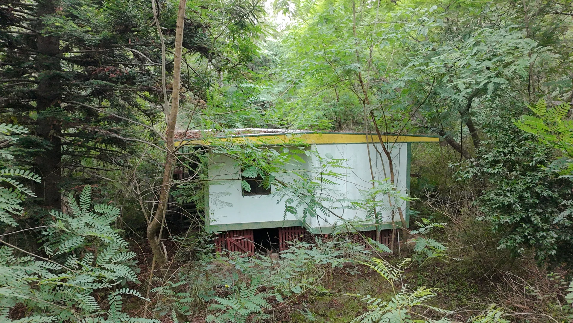 Image 10