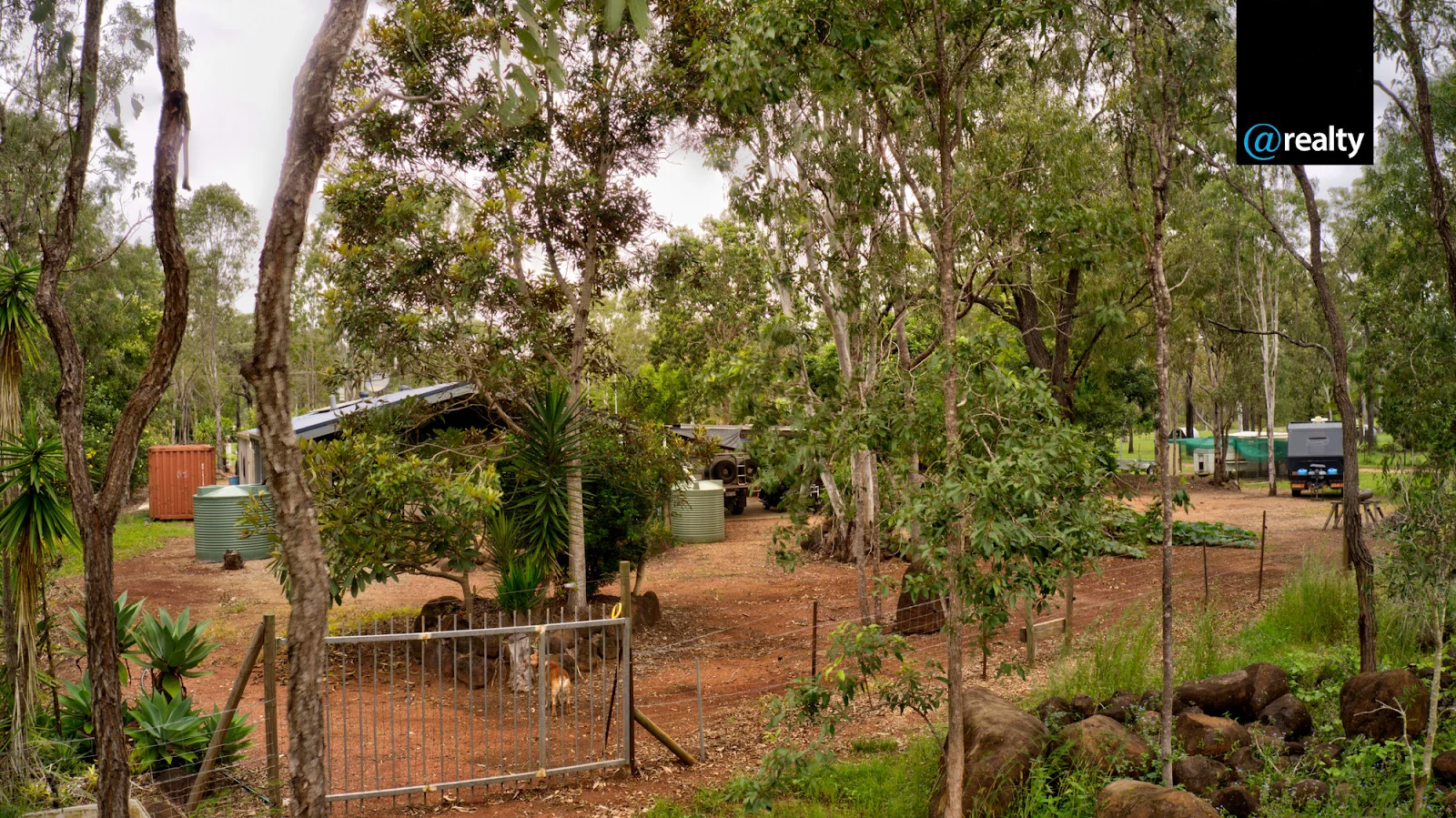 Image 13