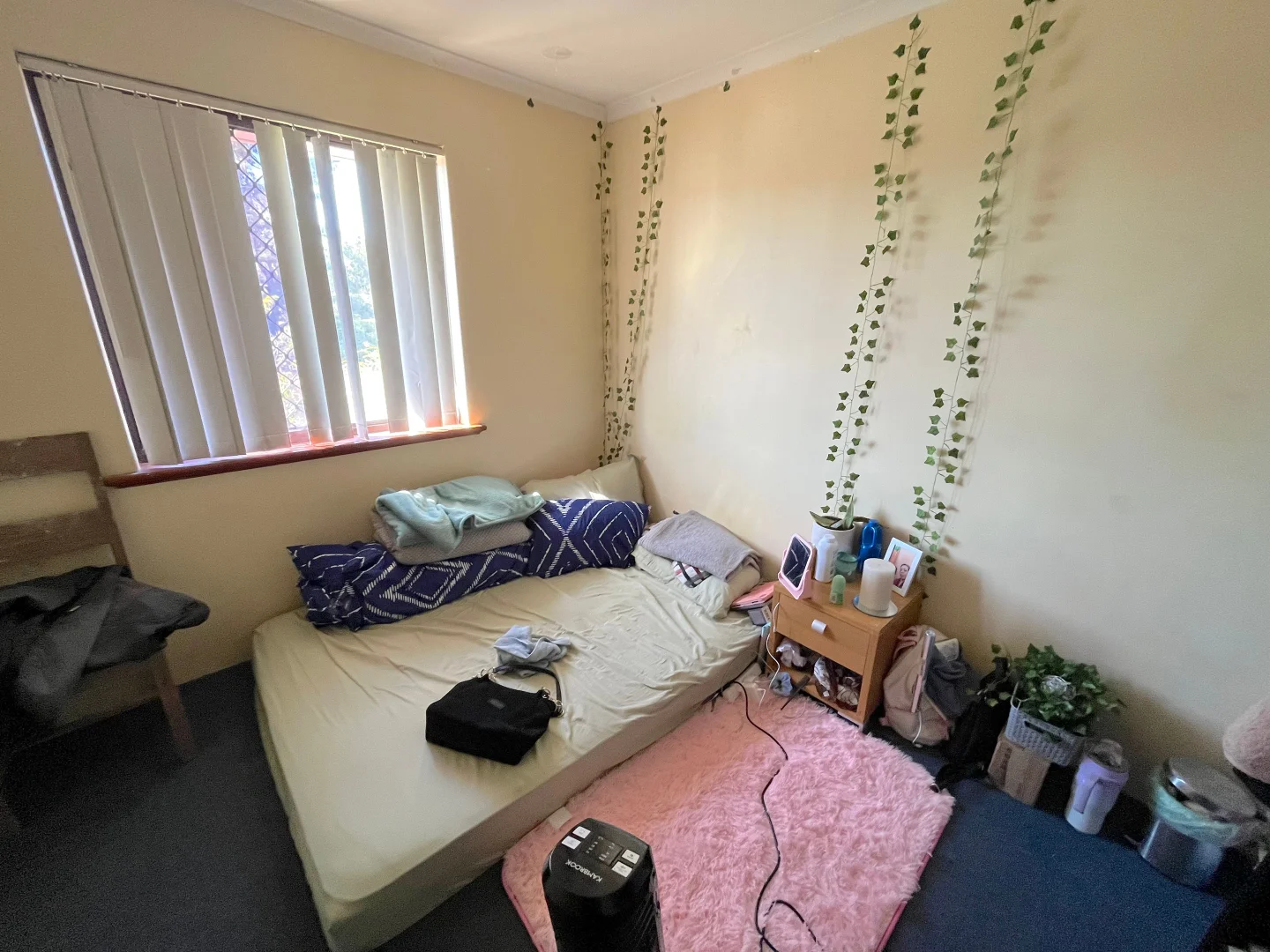 Image 11