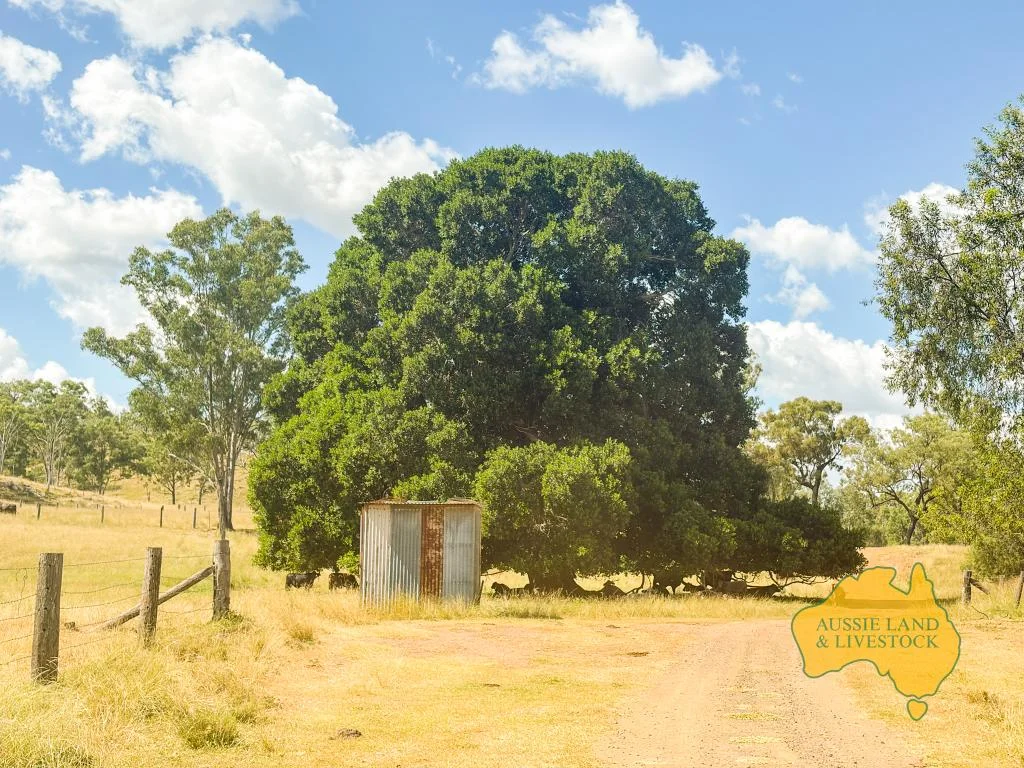 Image 14
