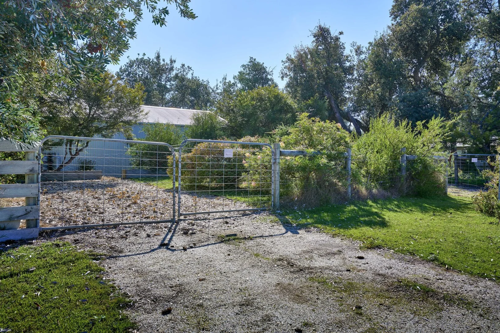 Image 15
