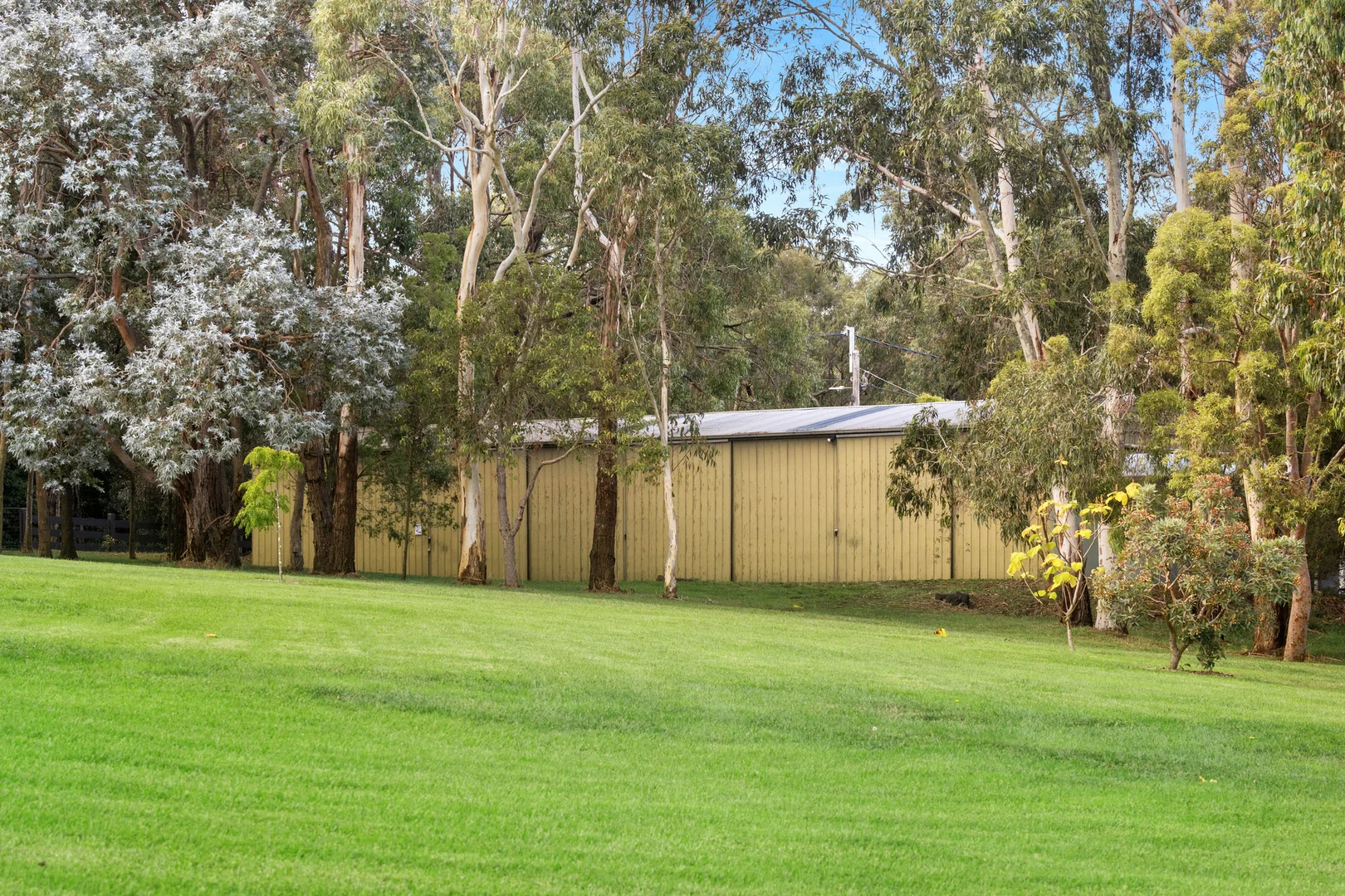Image 15