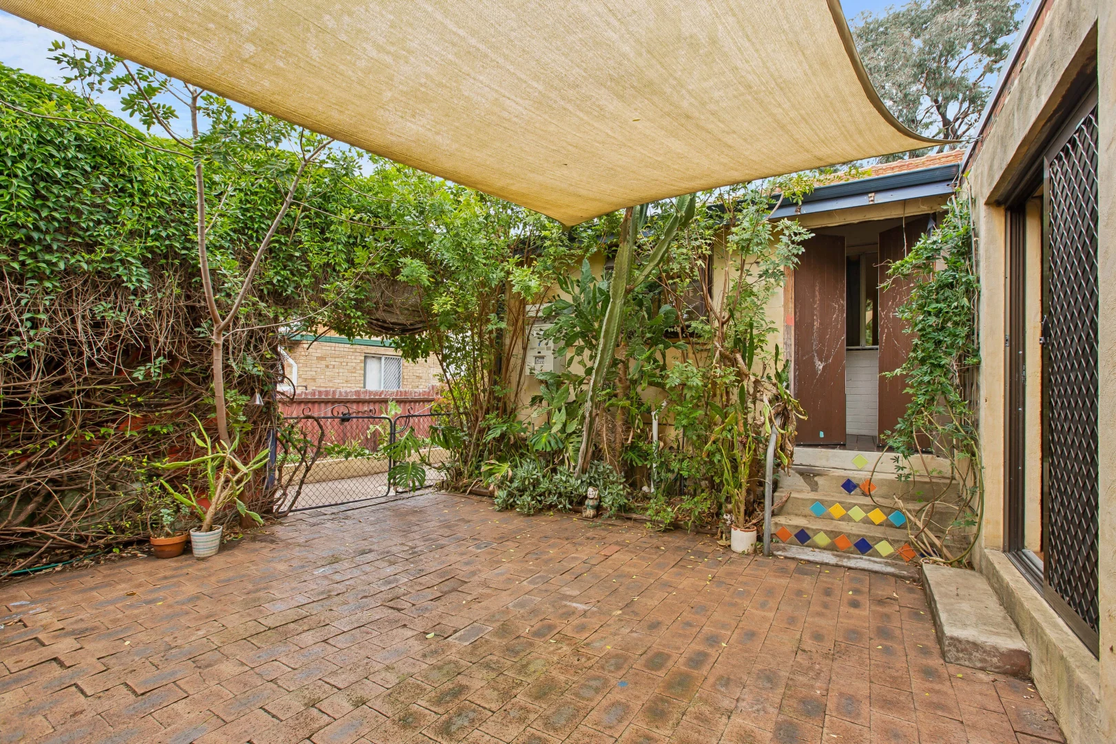 Image 4