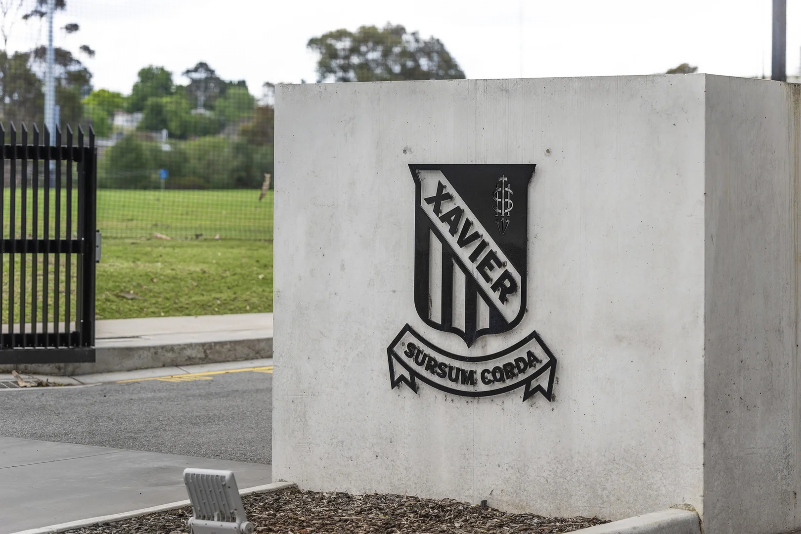Image 11