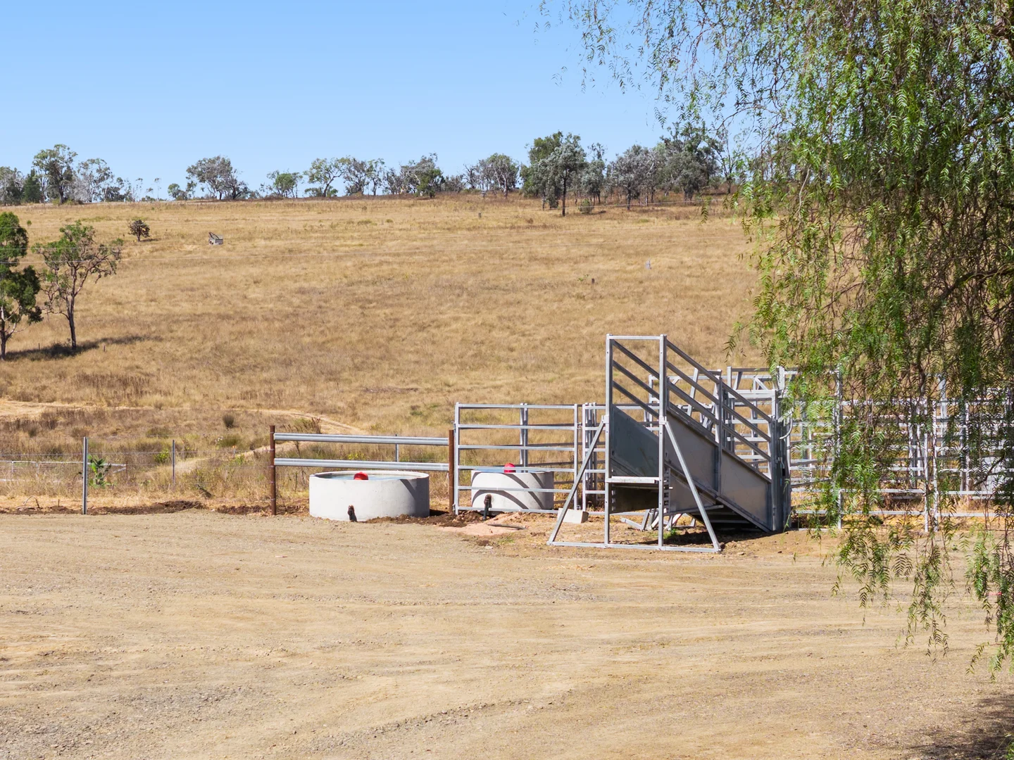 Image 12