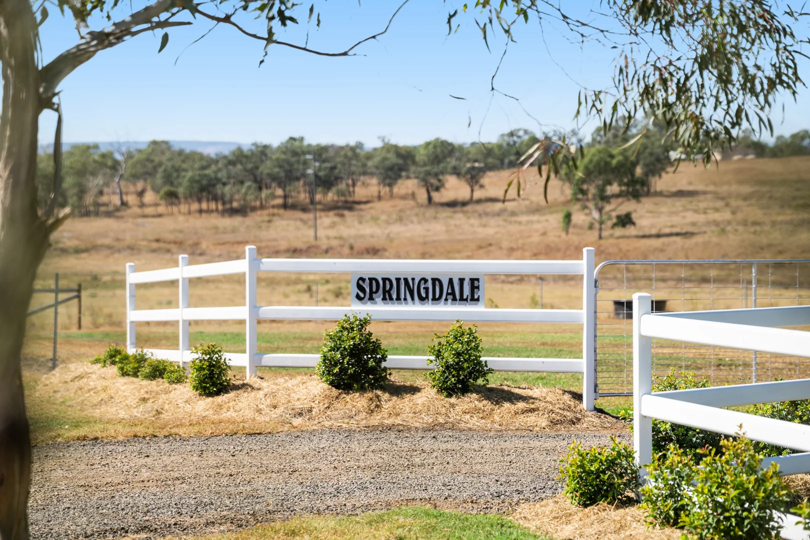 Image 34