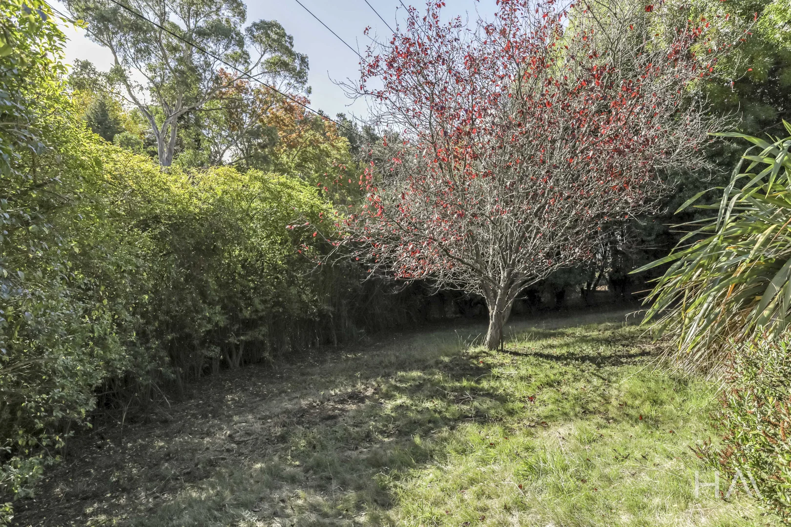 Image 19
