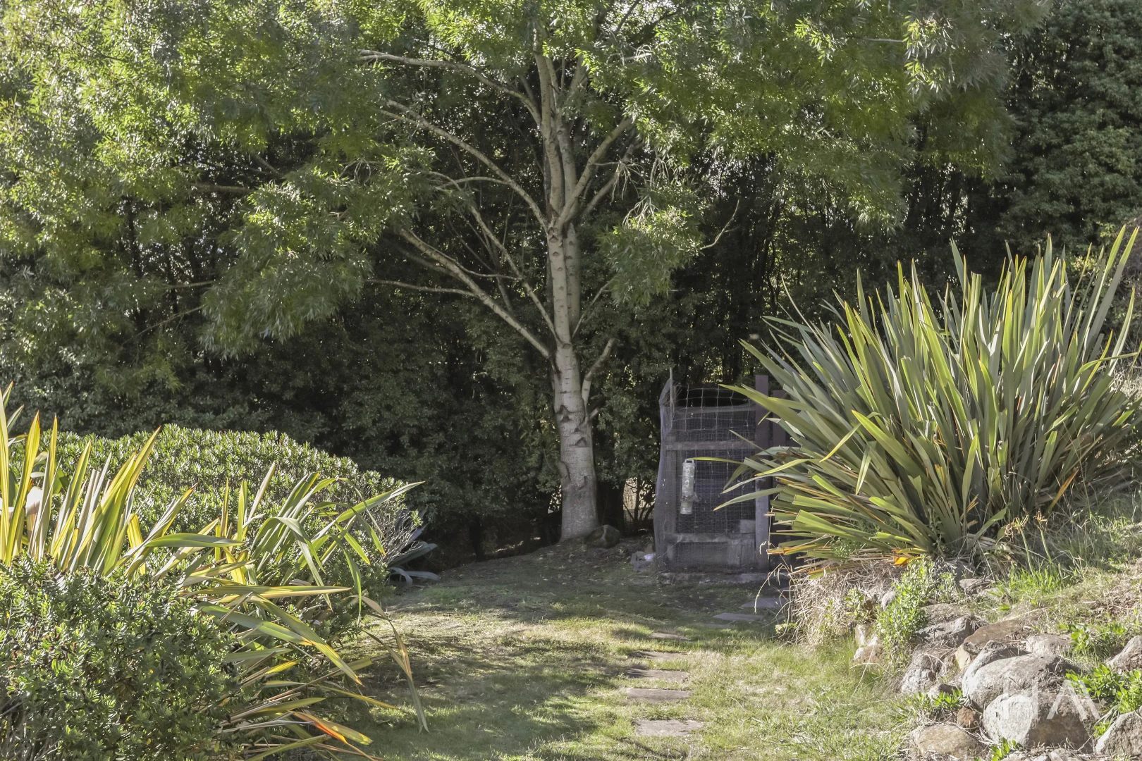 Image 21