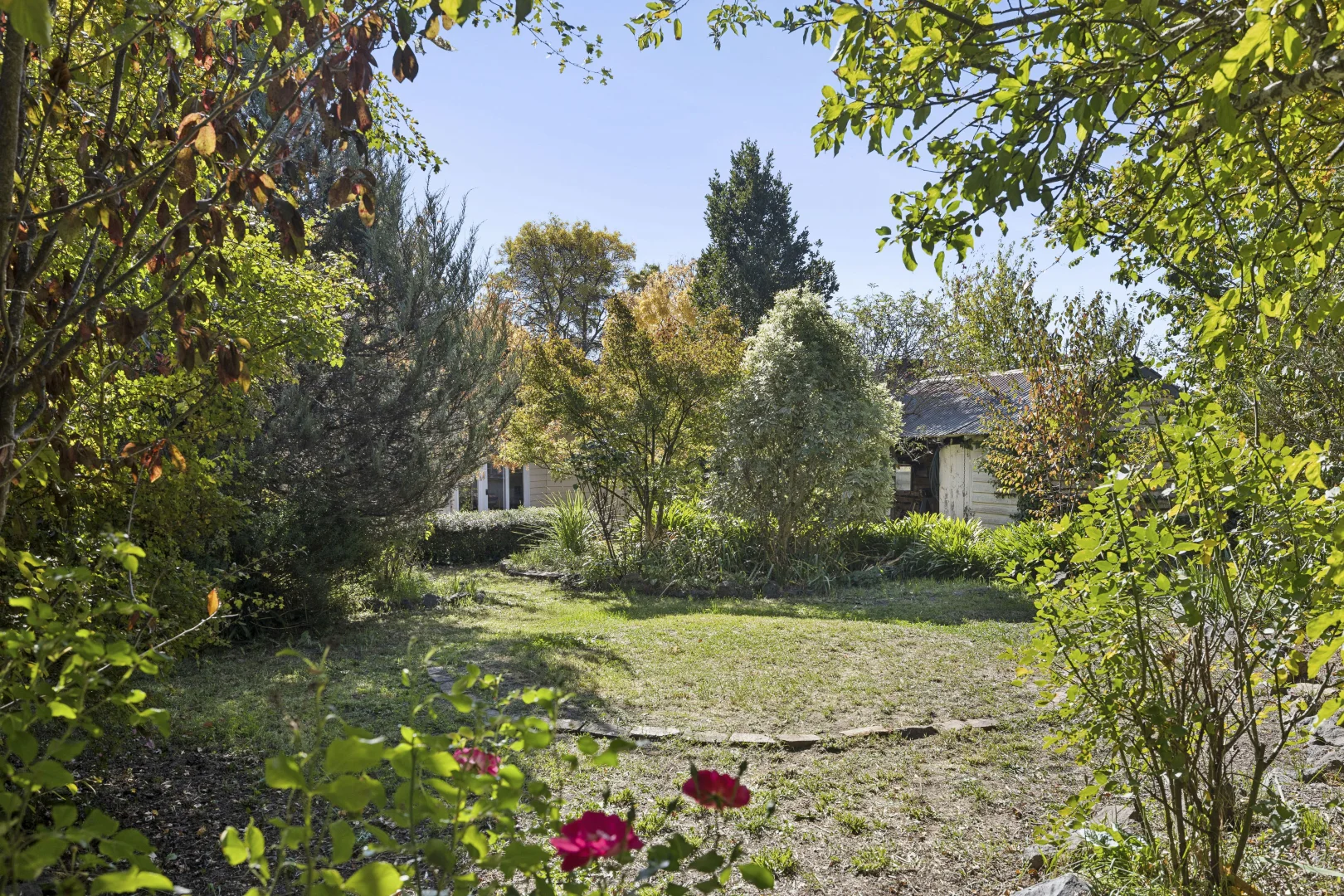 Image 20
