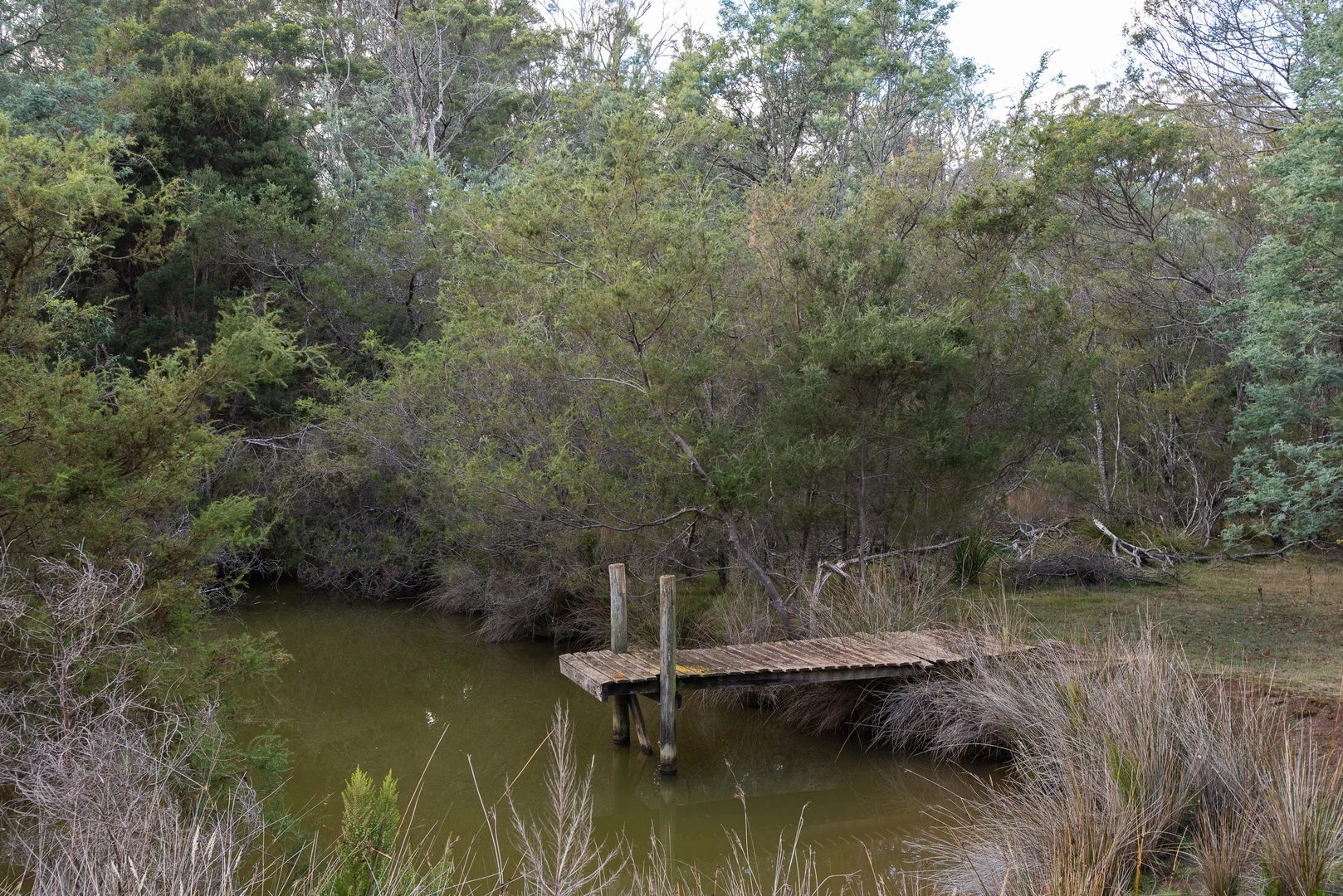 Image 18