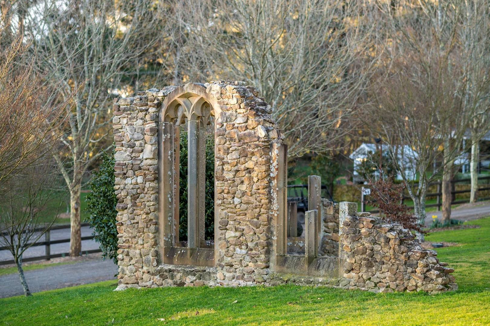 Image 11