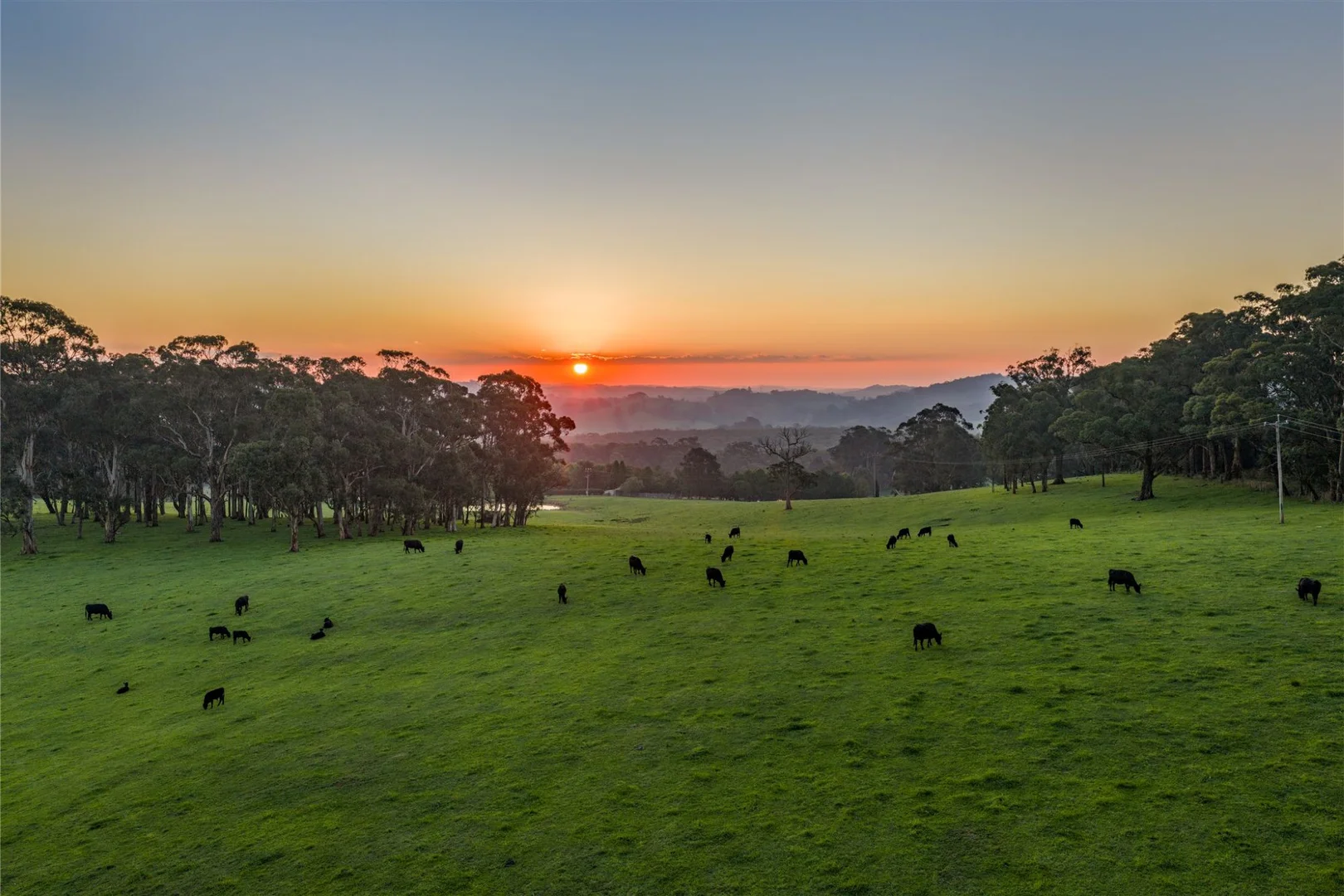Image 35