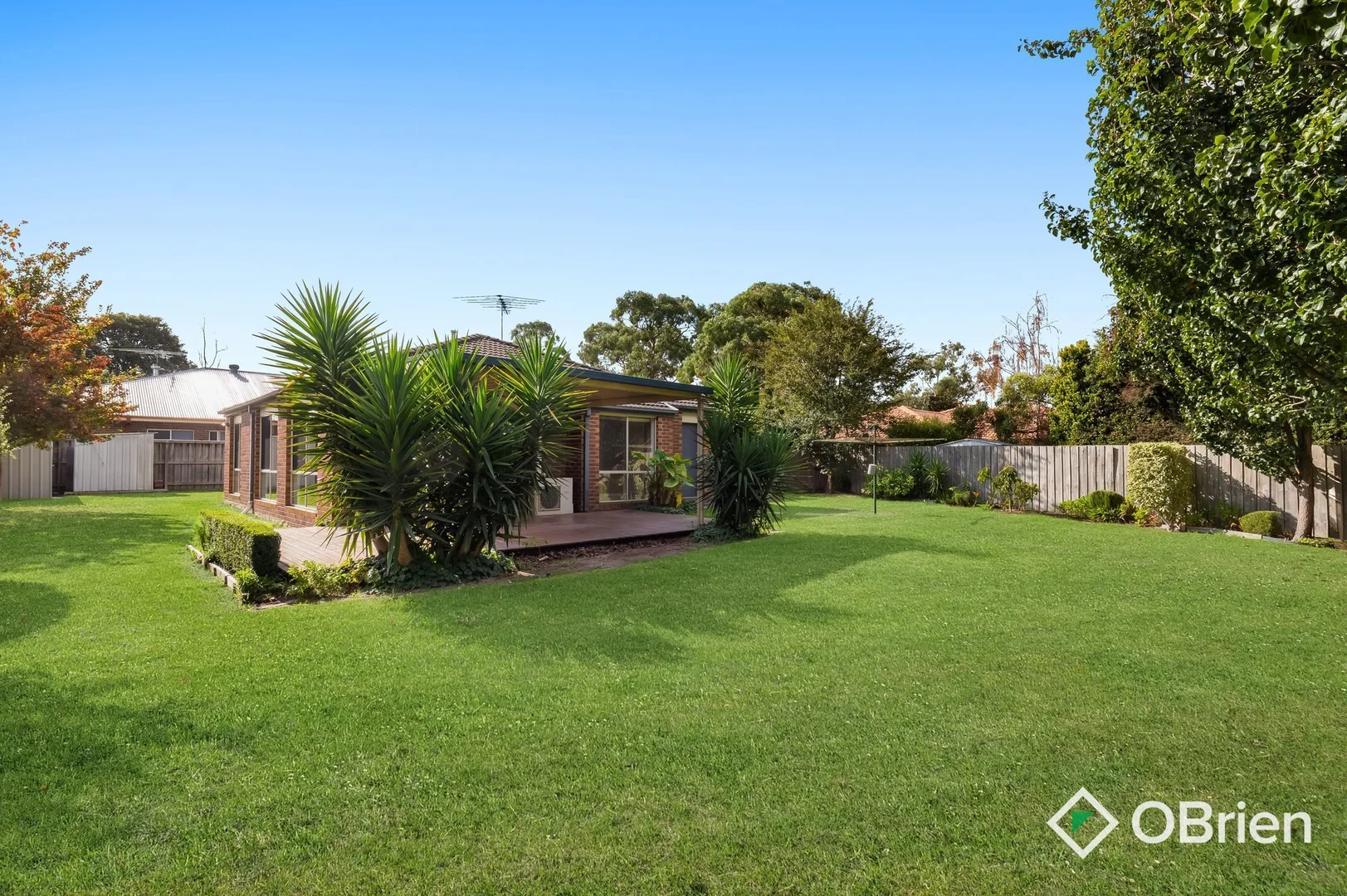 Image 18