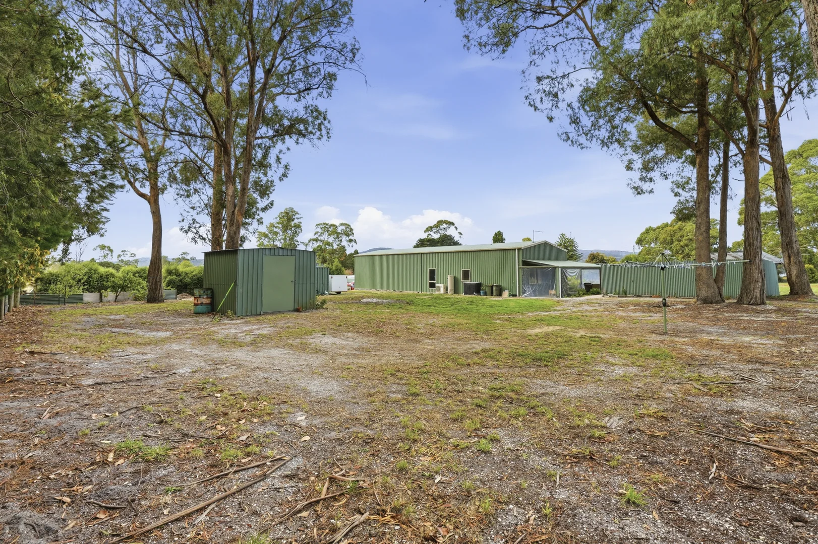 Image 10
