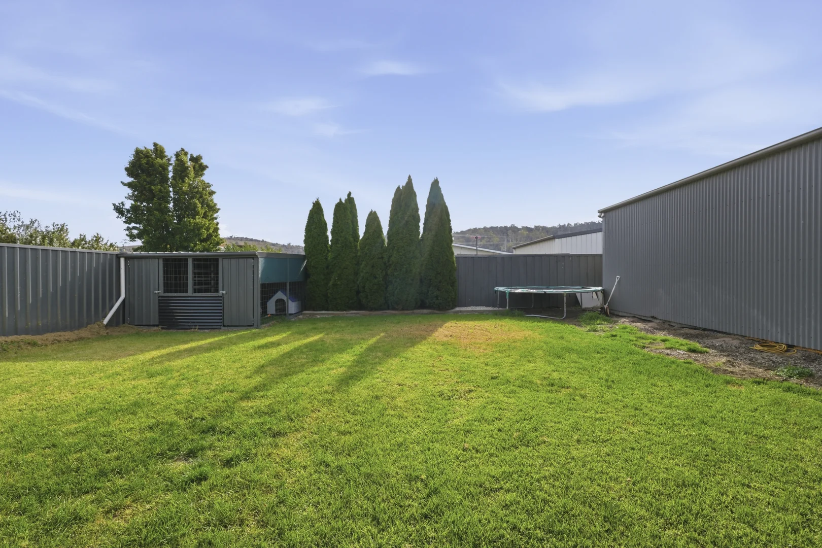 Image 12