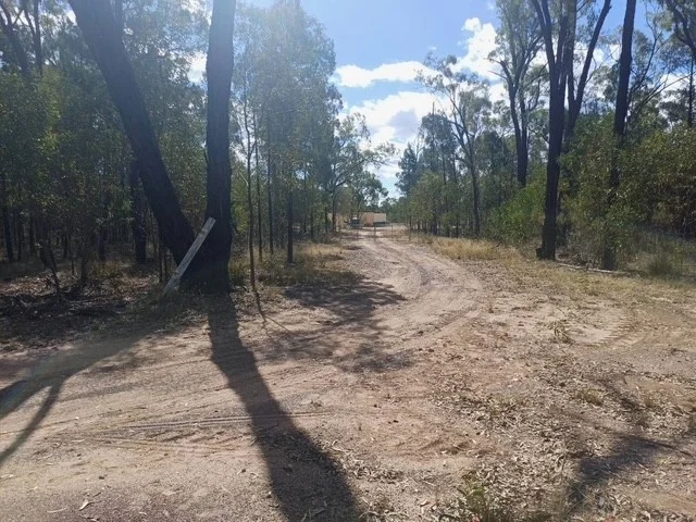 Image 6