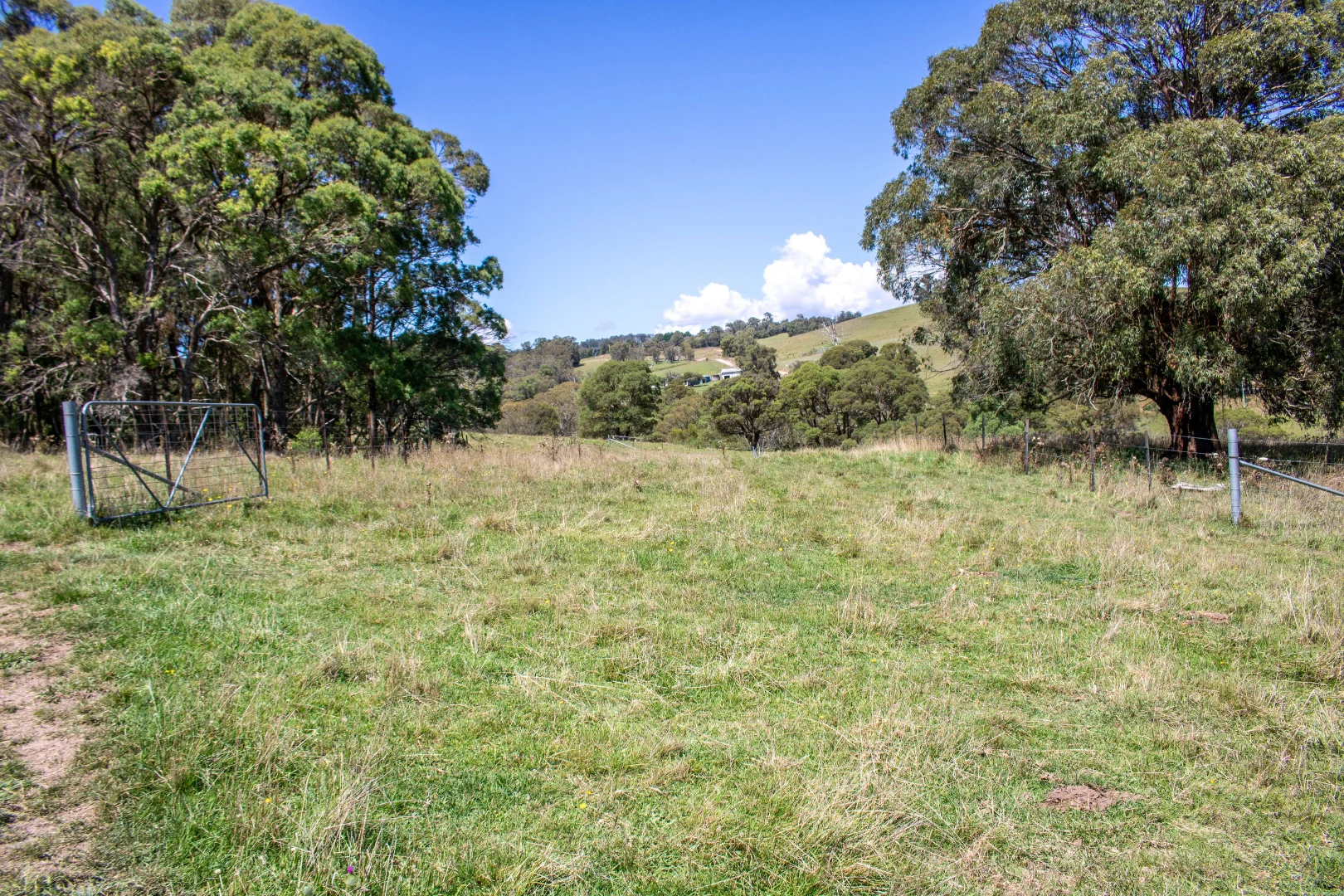 Image 15