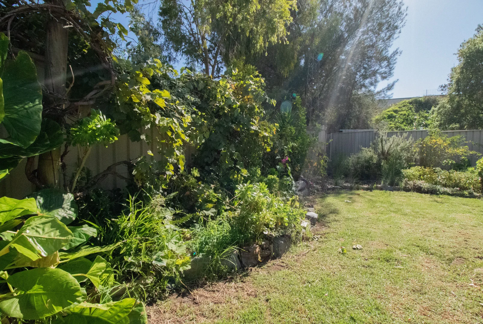 Image 15