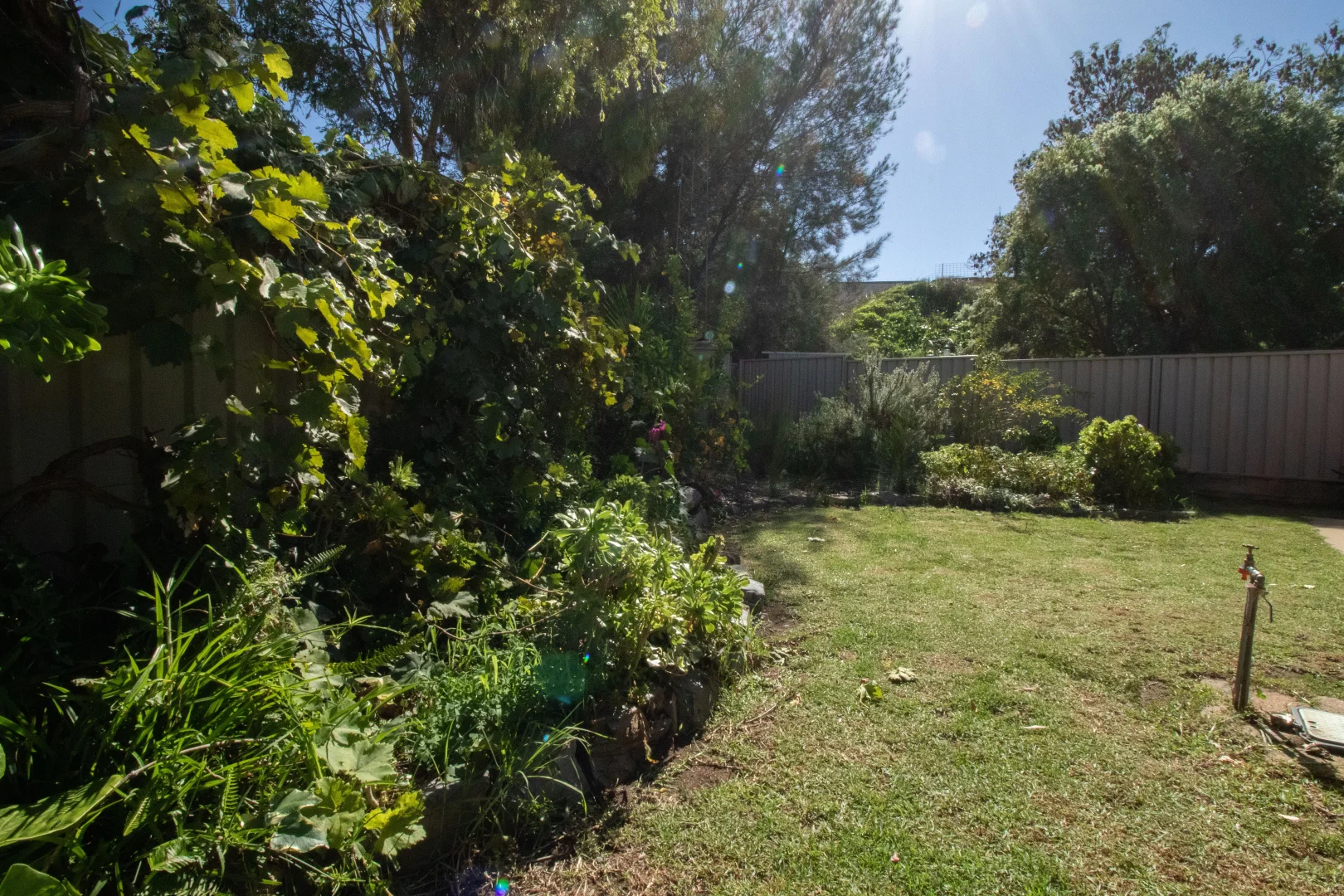 Image 16