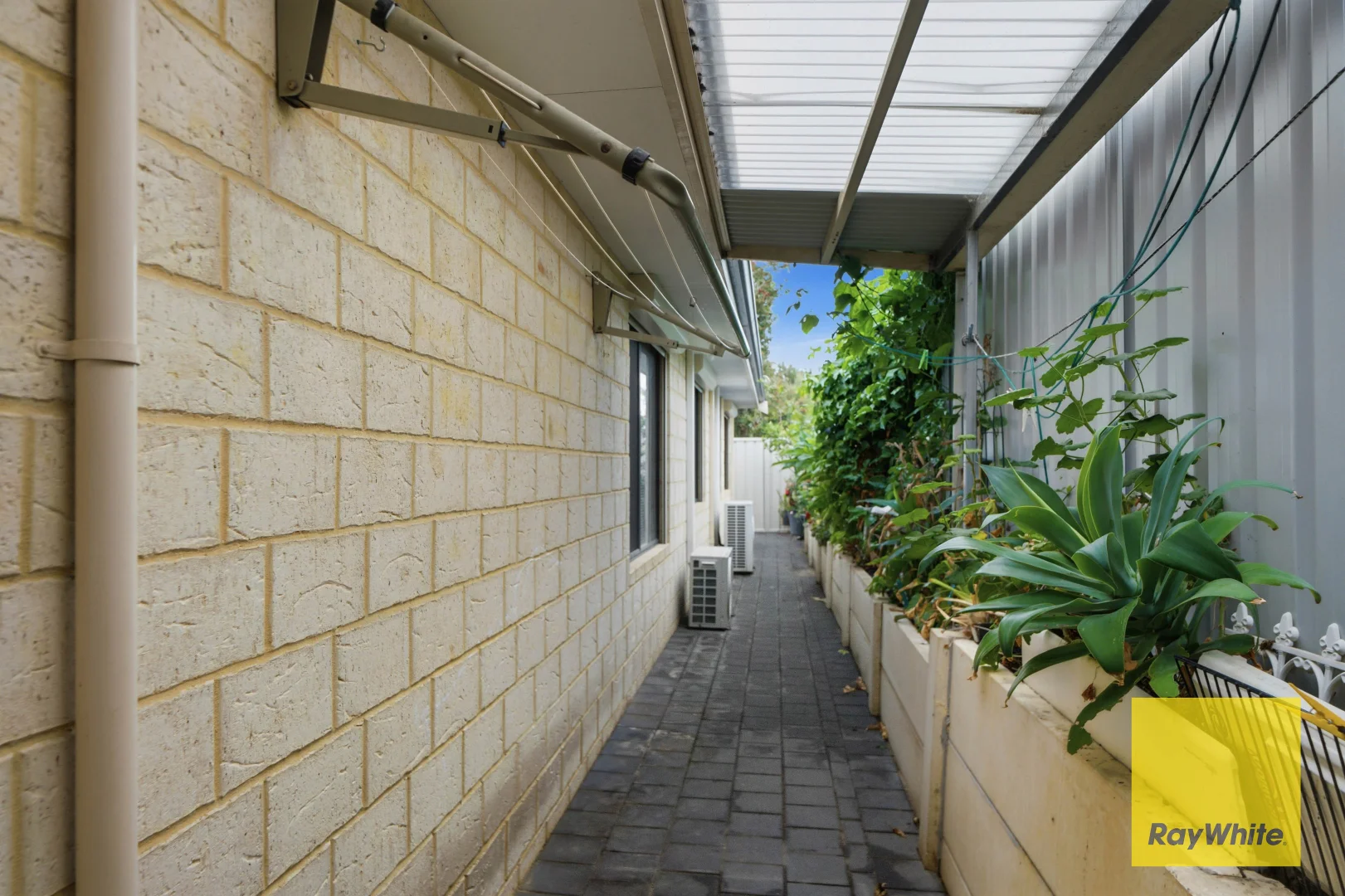 Image 24