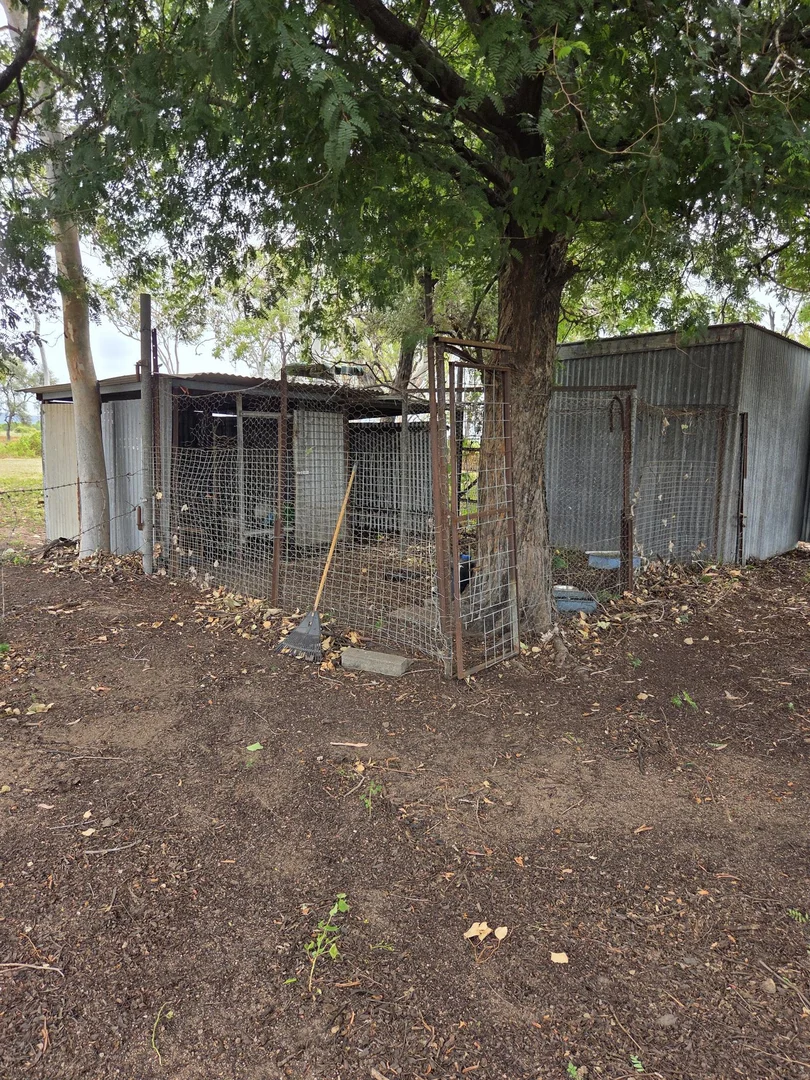 Image 8