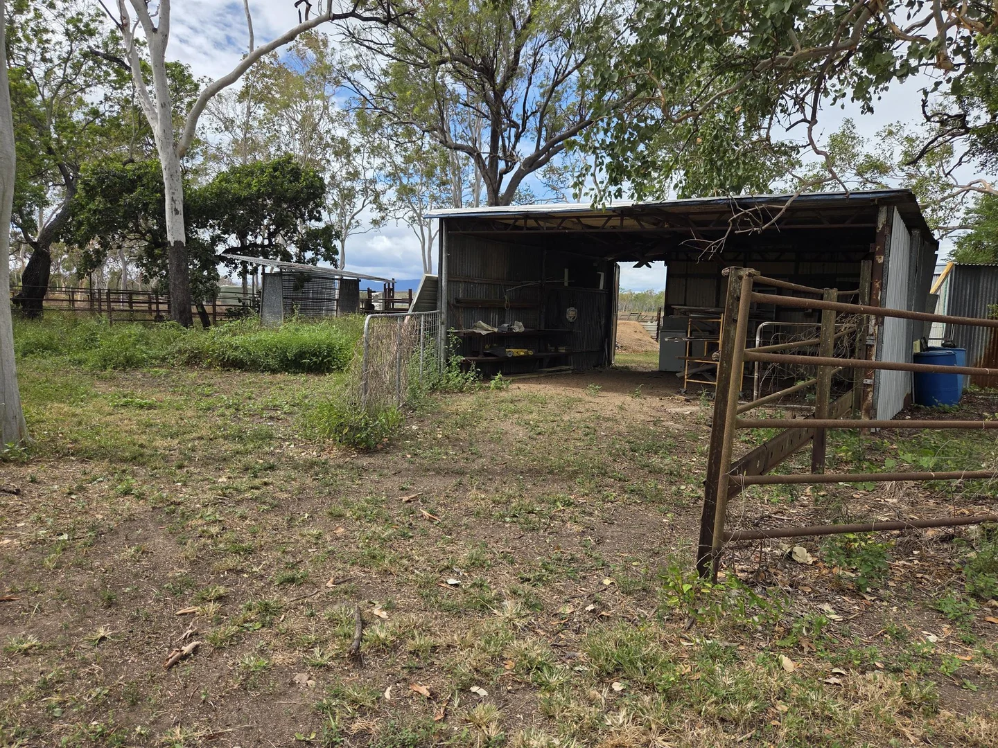 Image 10
