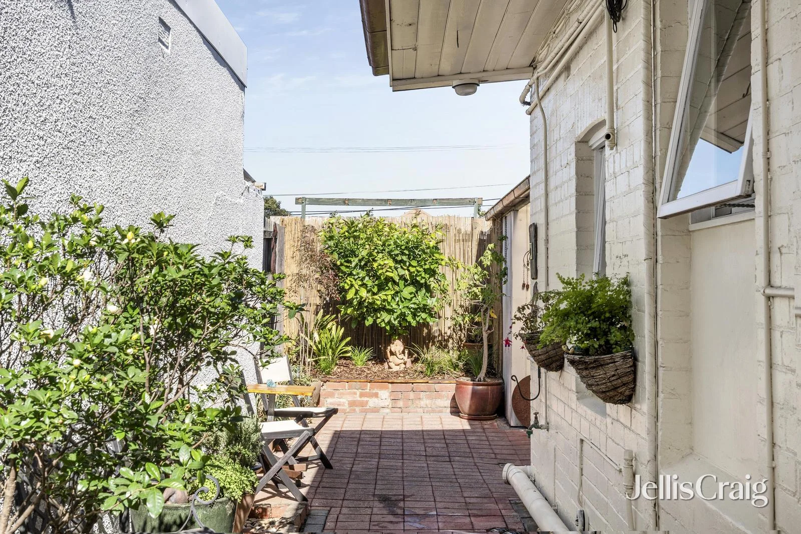 Image 10