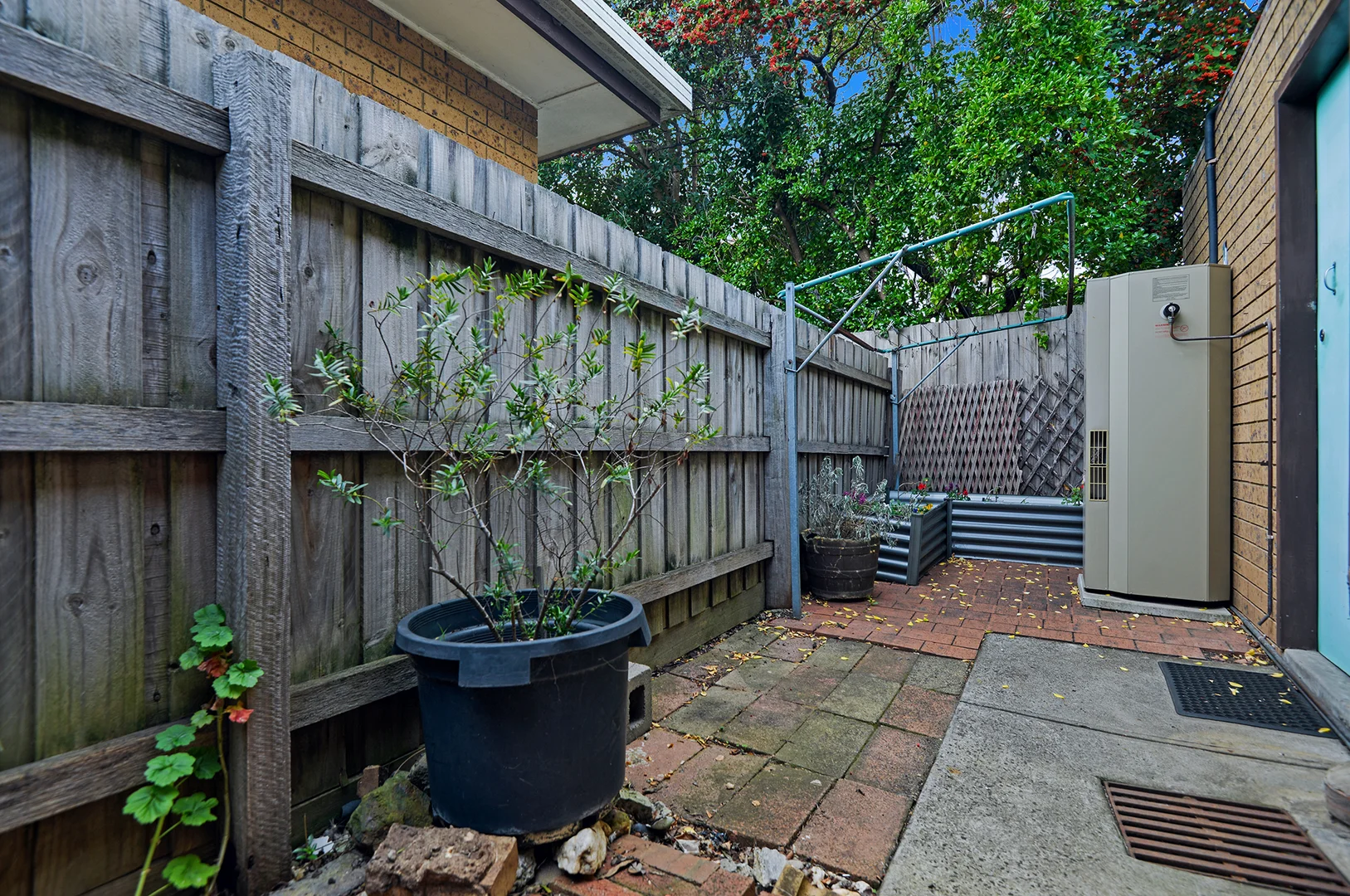 Image 8