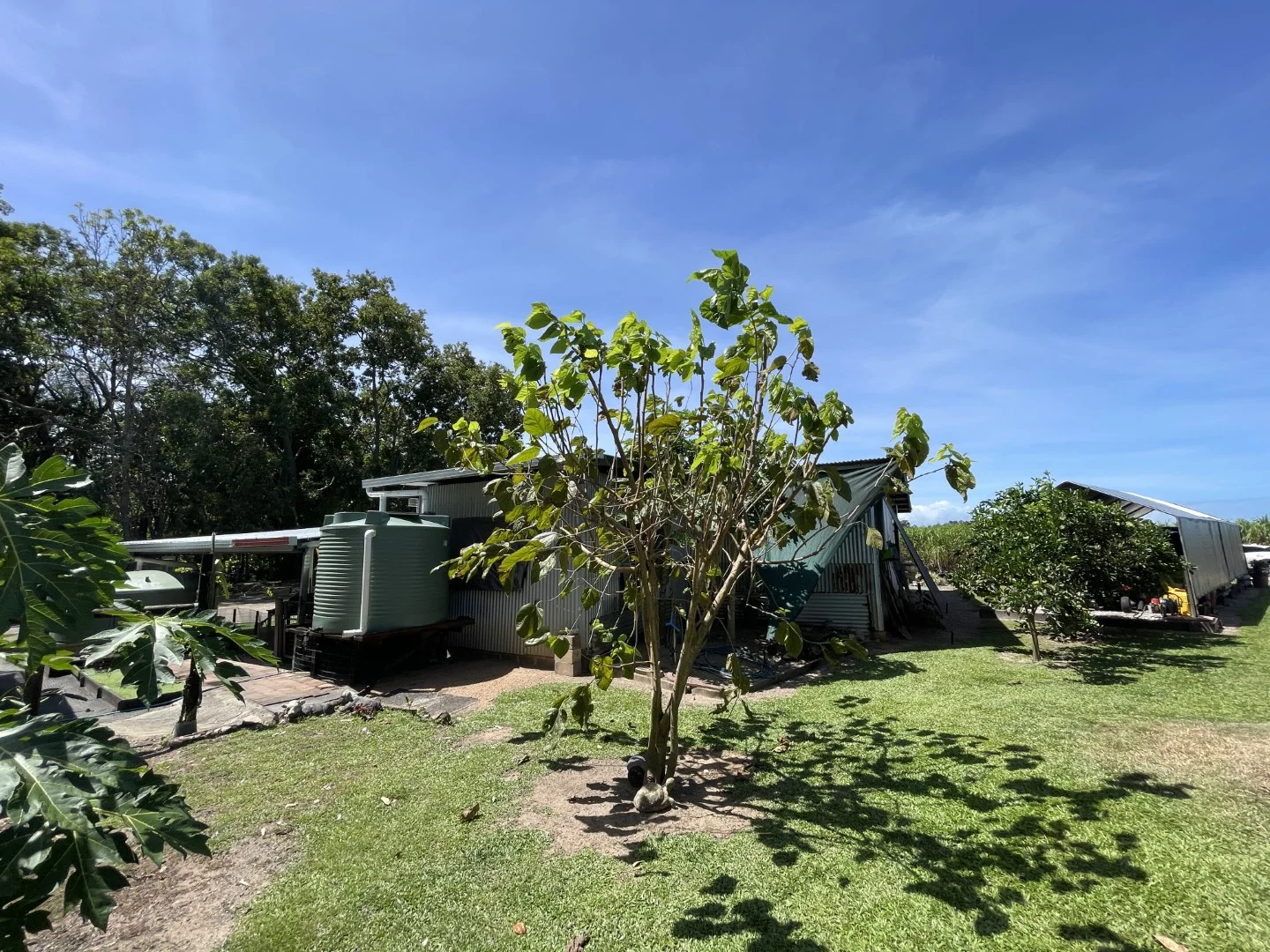Image 21