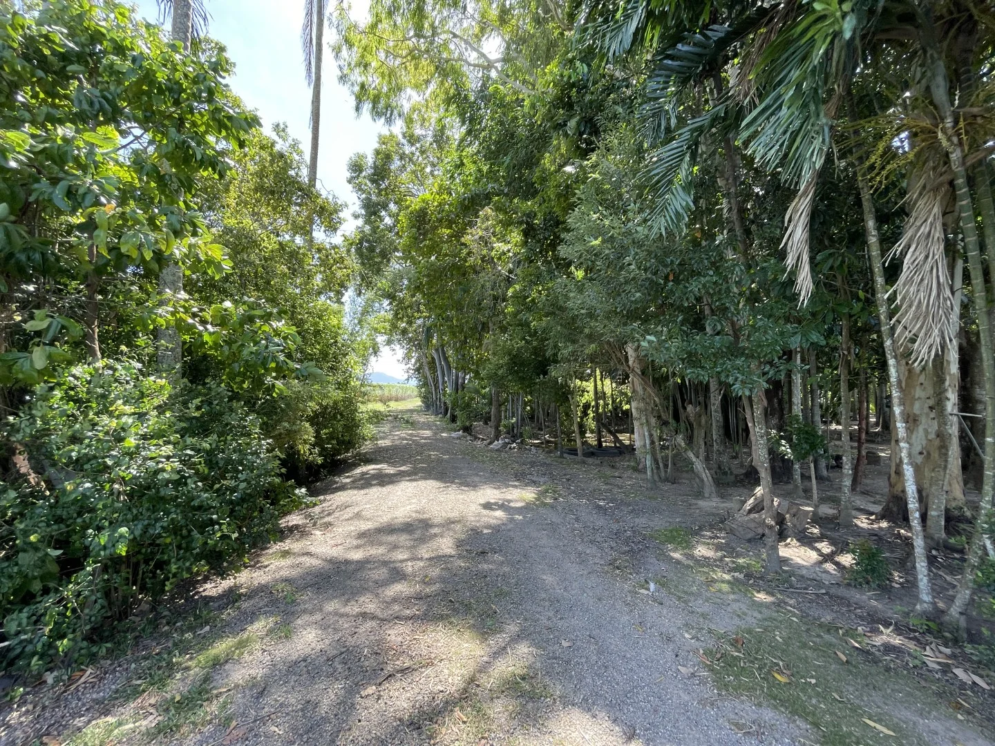 Image 26