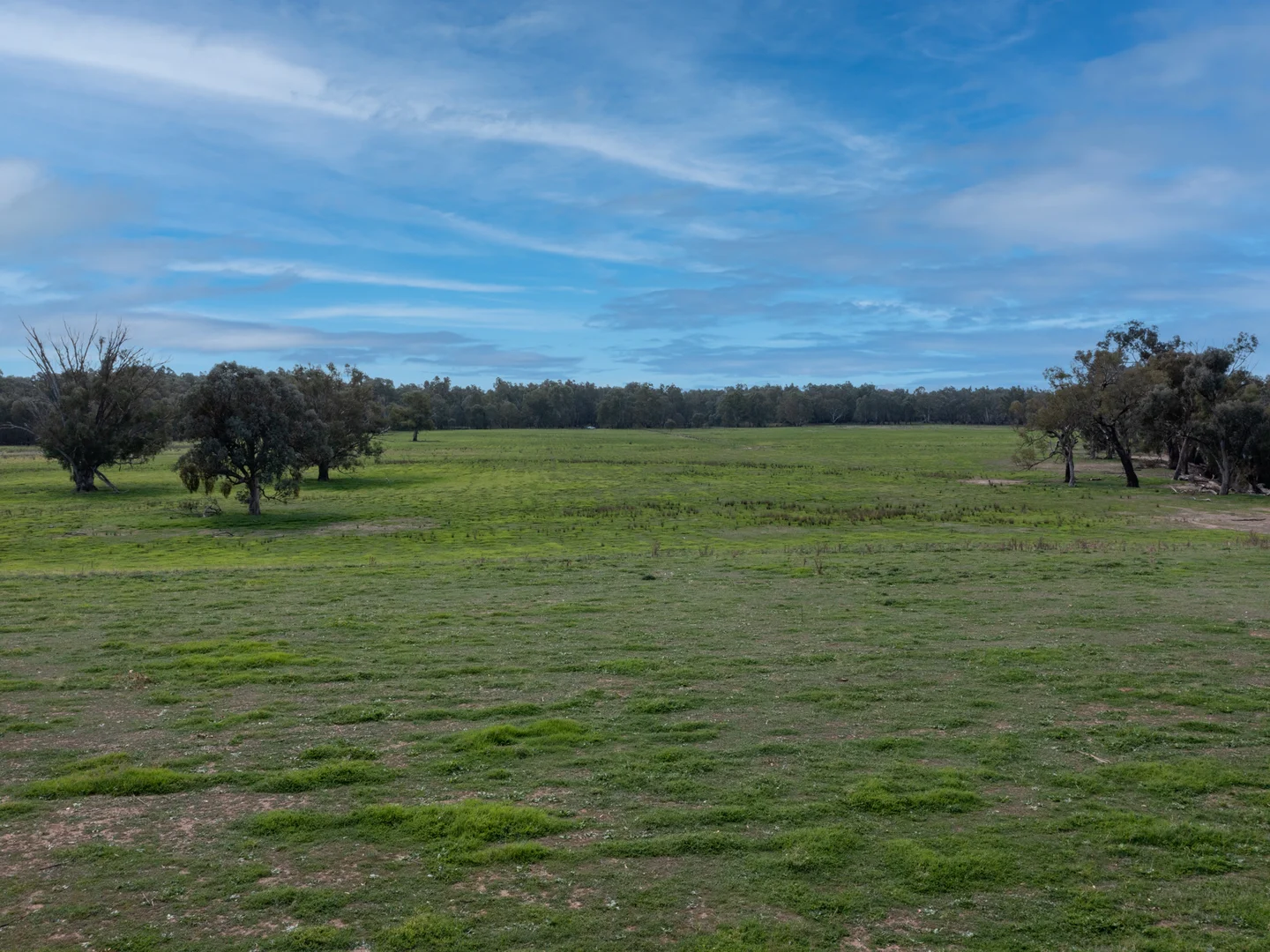 Image 14
