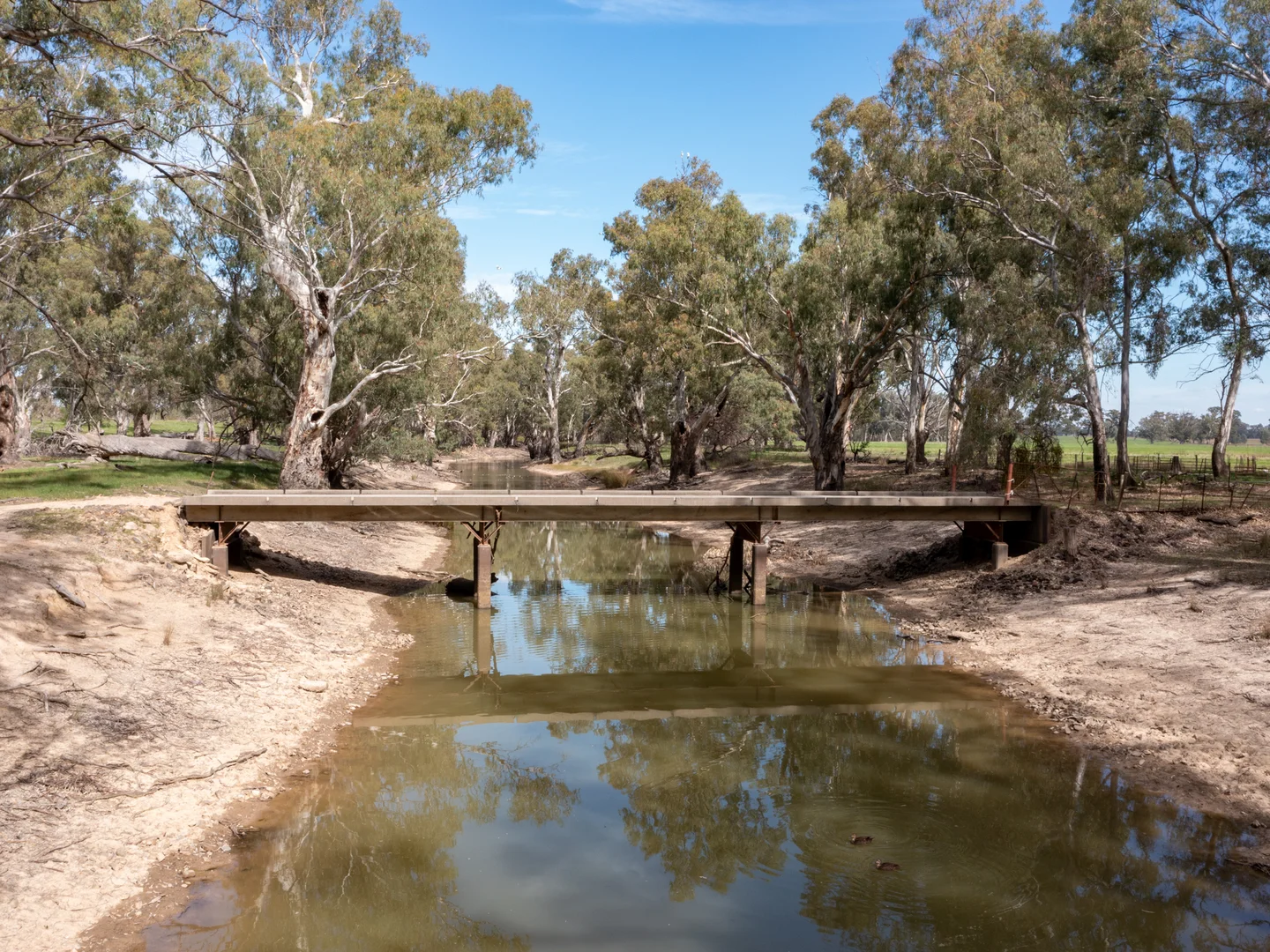 Image 10