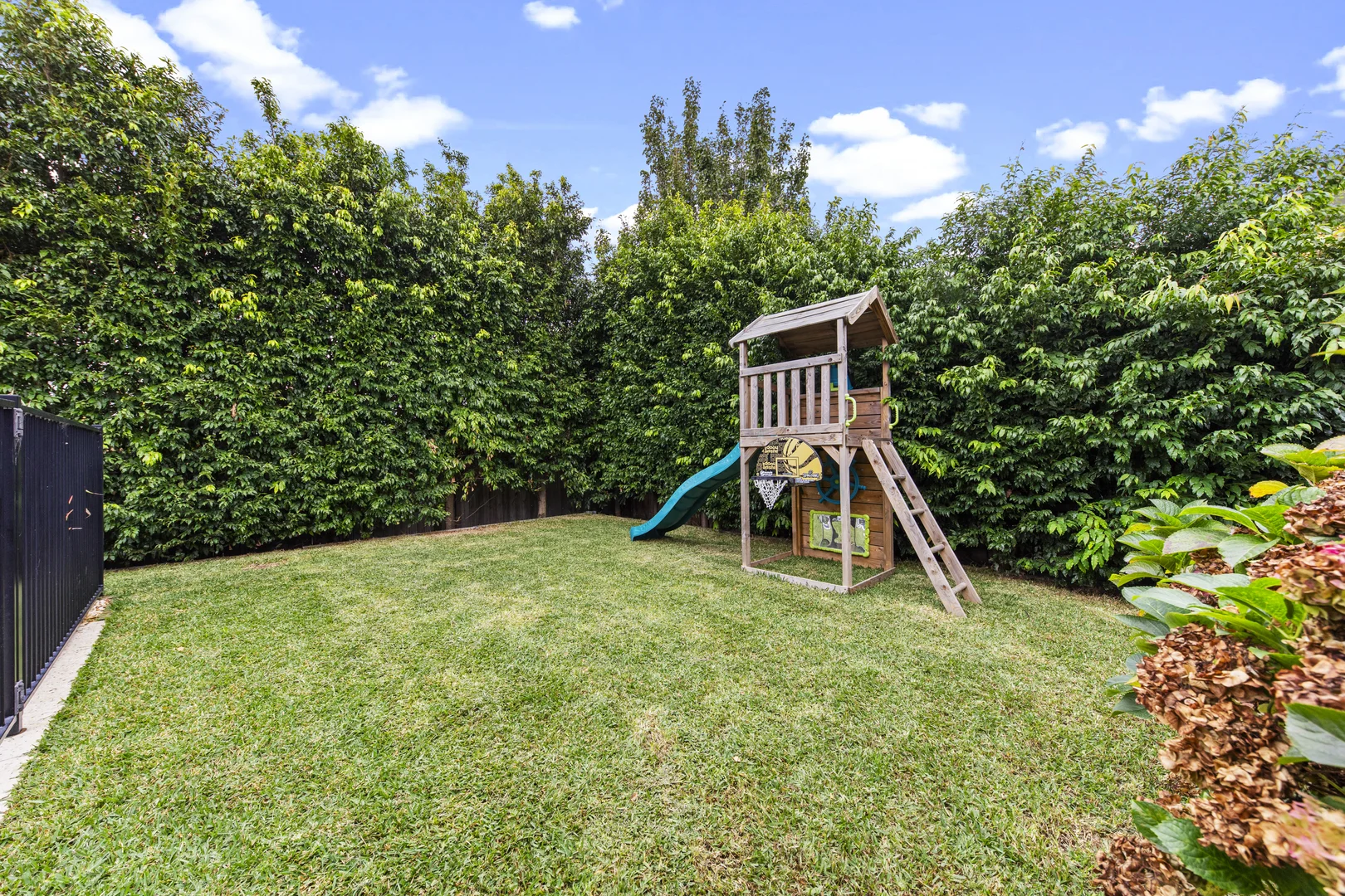 Image 25