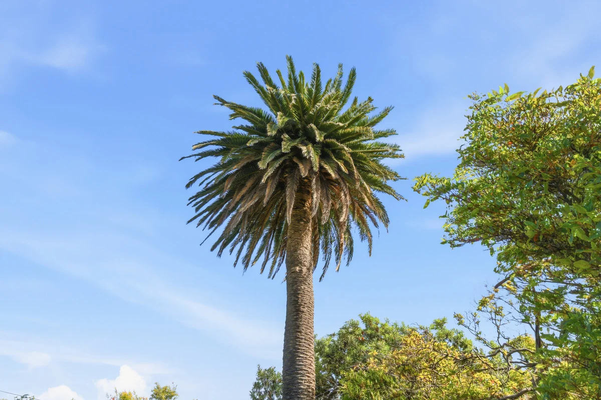 Image 28