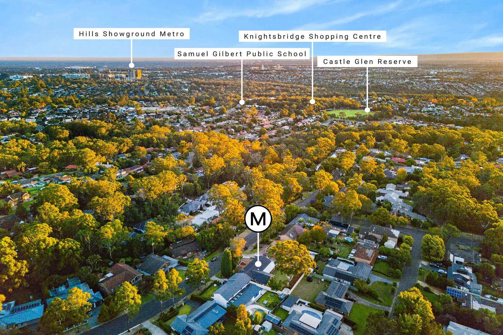 Image 20