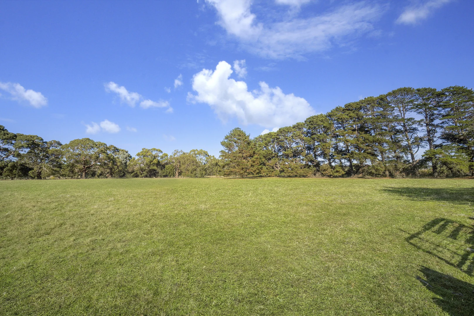 Image 14