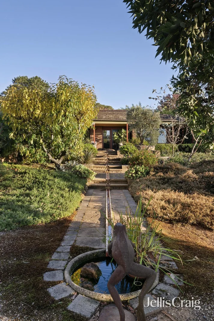 Image 15