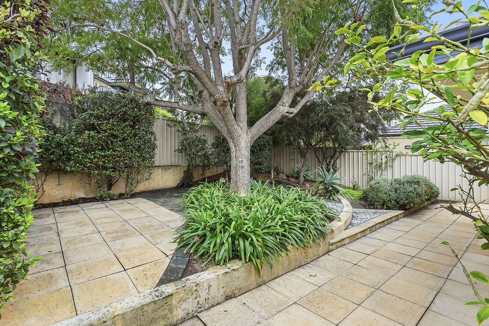 Image 17