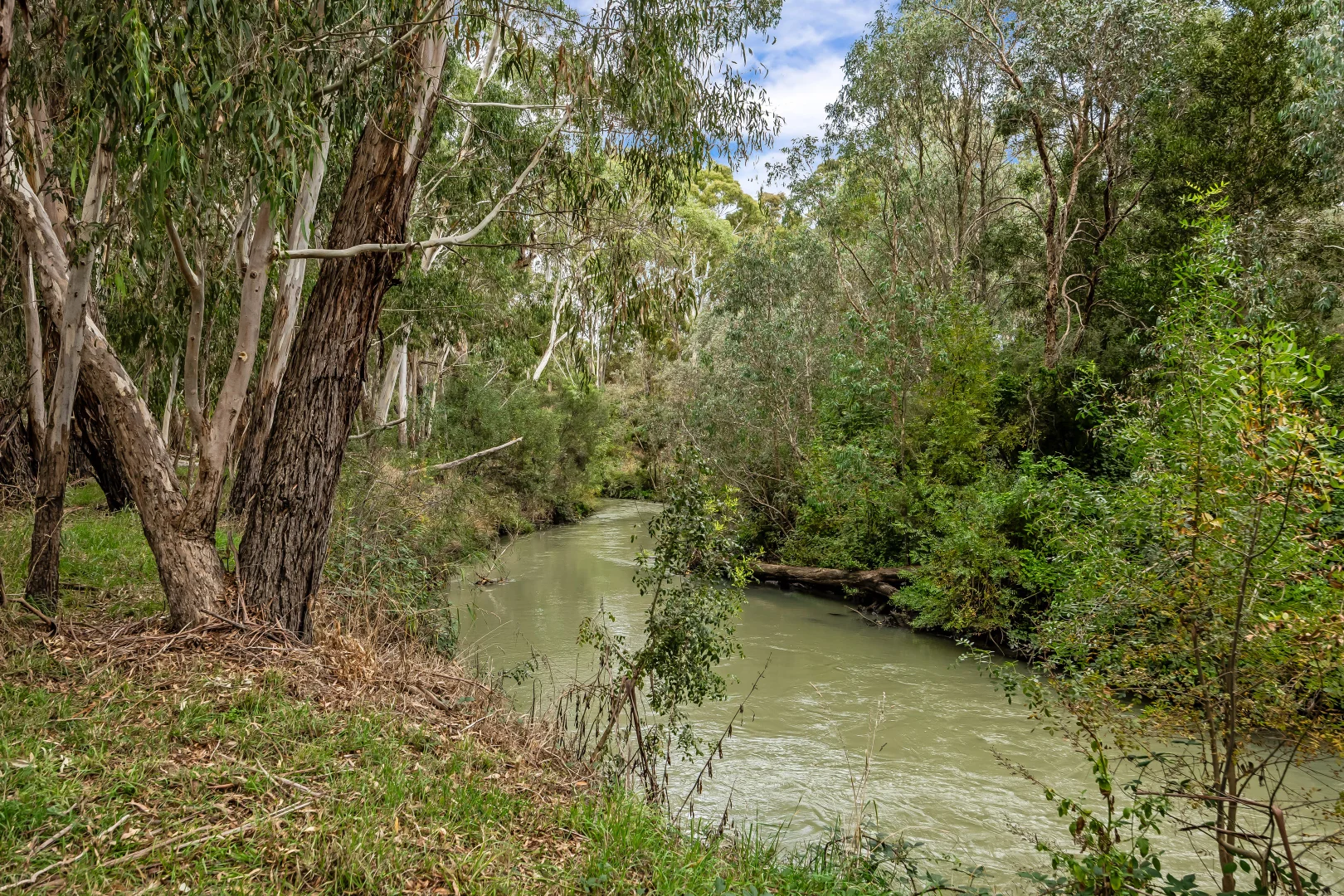 Image 37