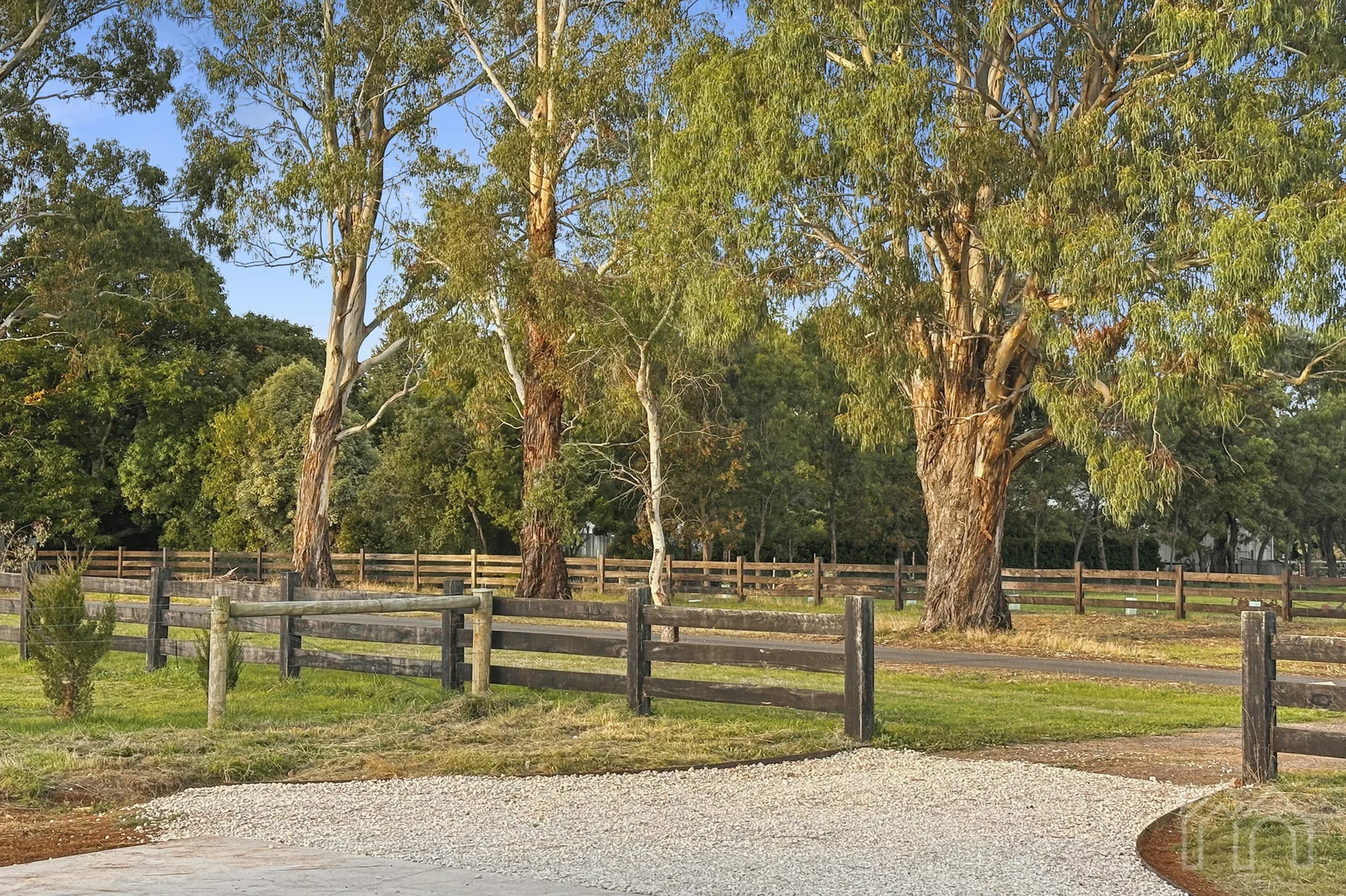 Image 14