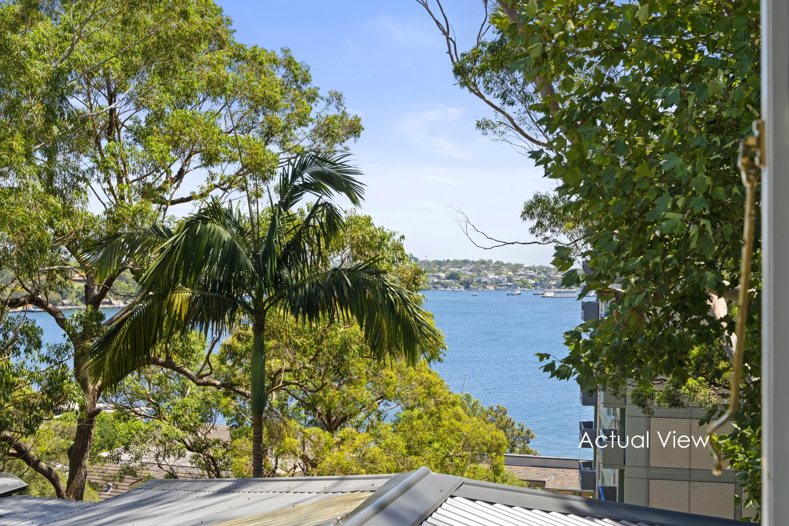Image 13