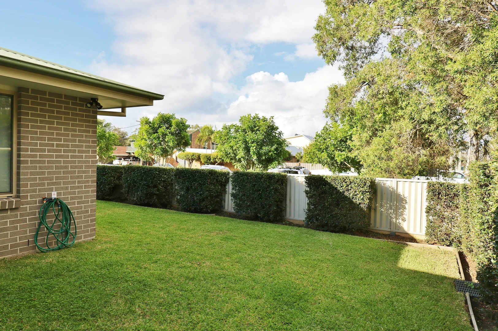 Image 15