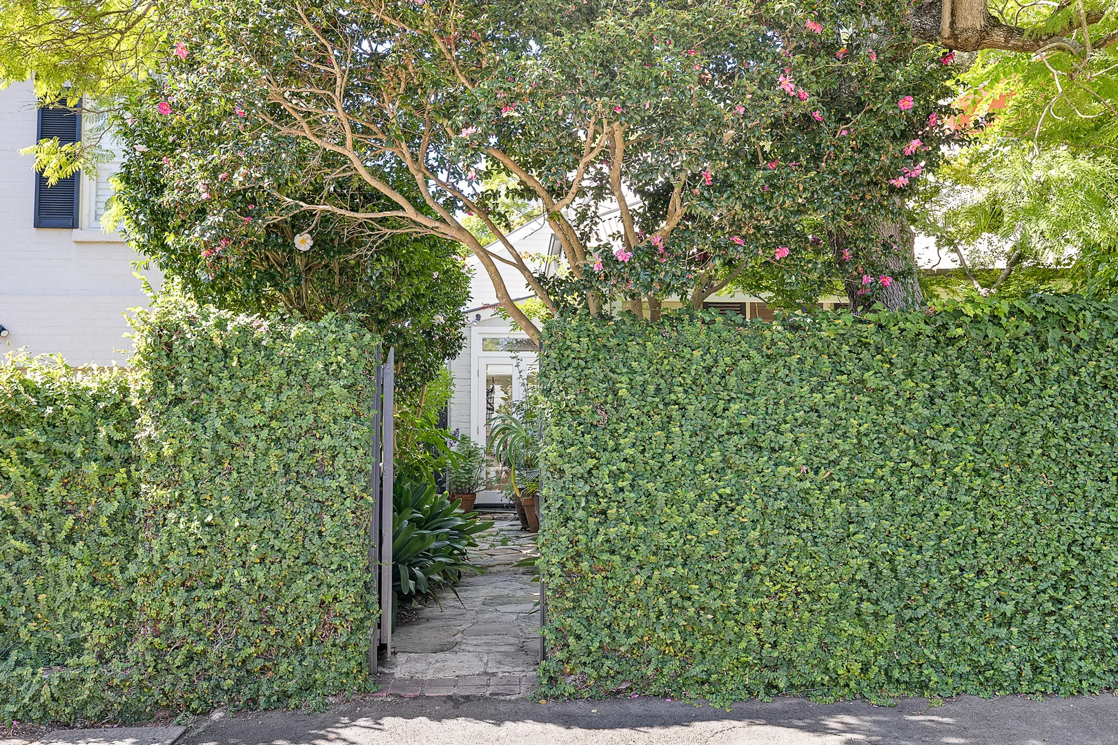 Image 28