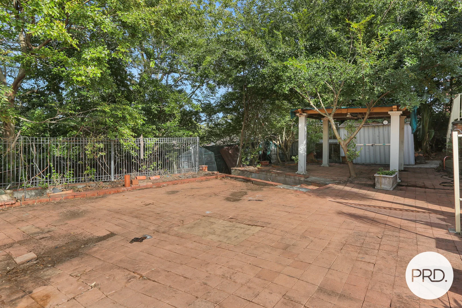 Image 8