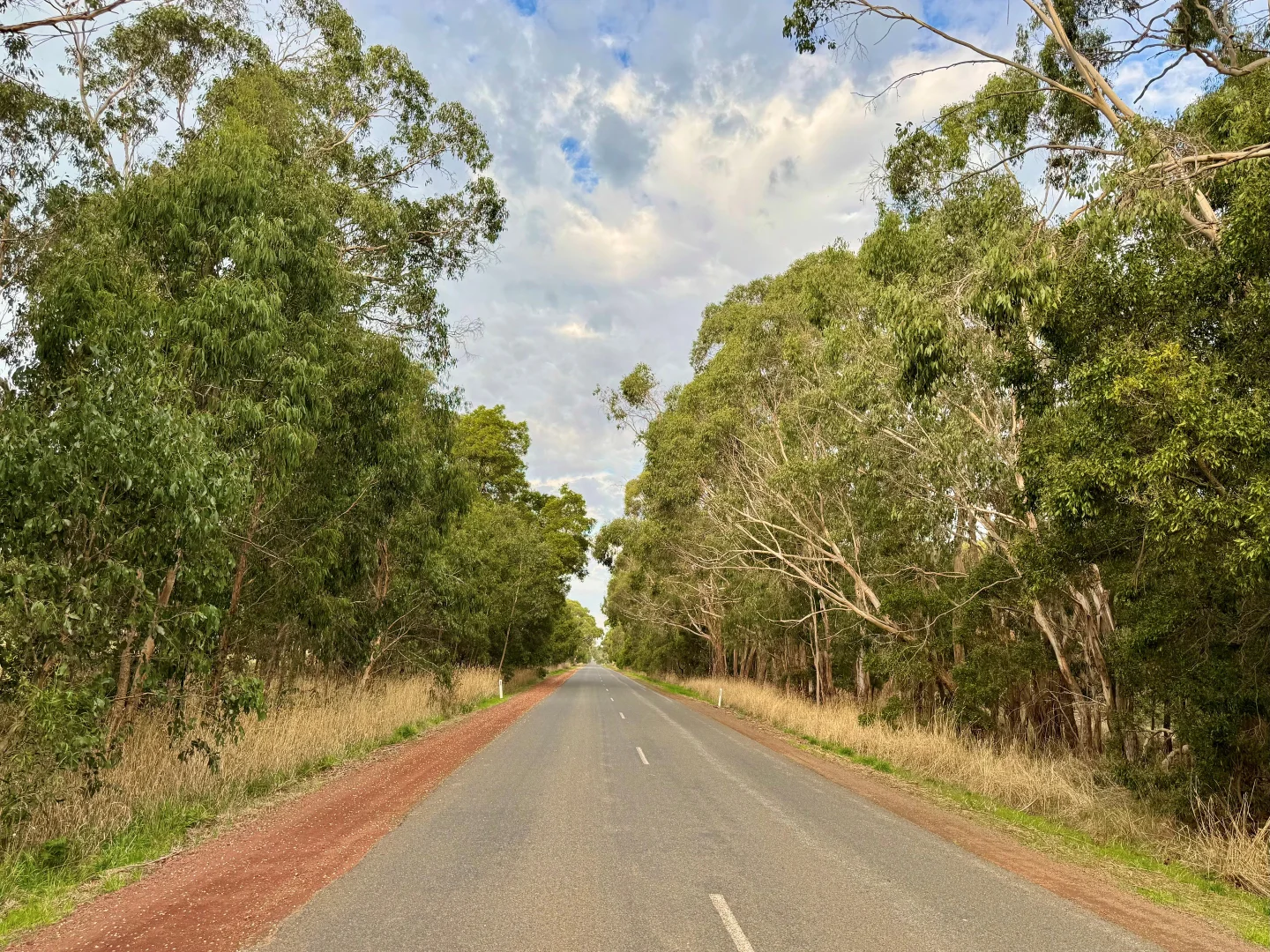 Image 16