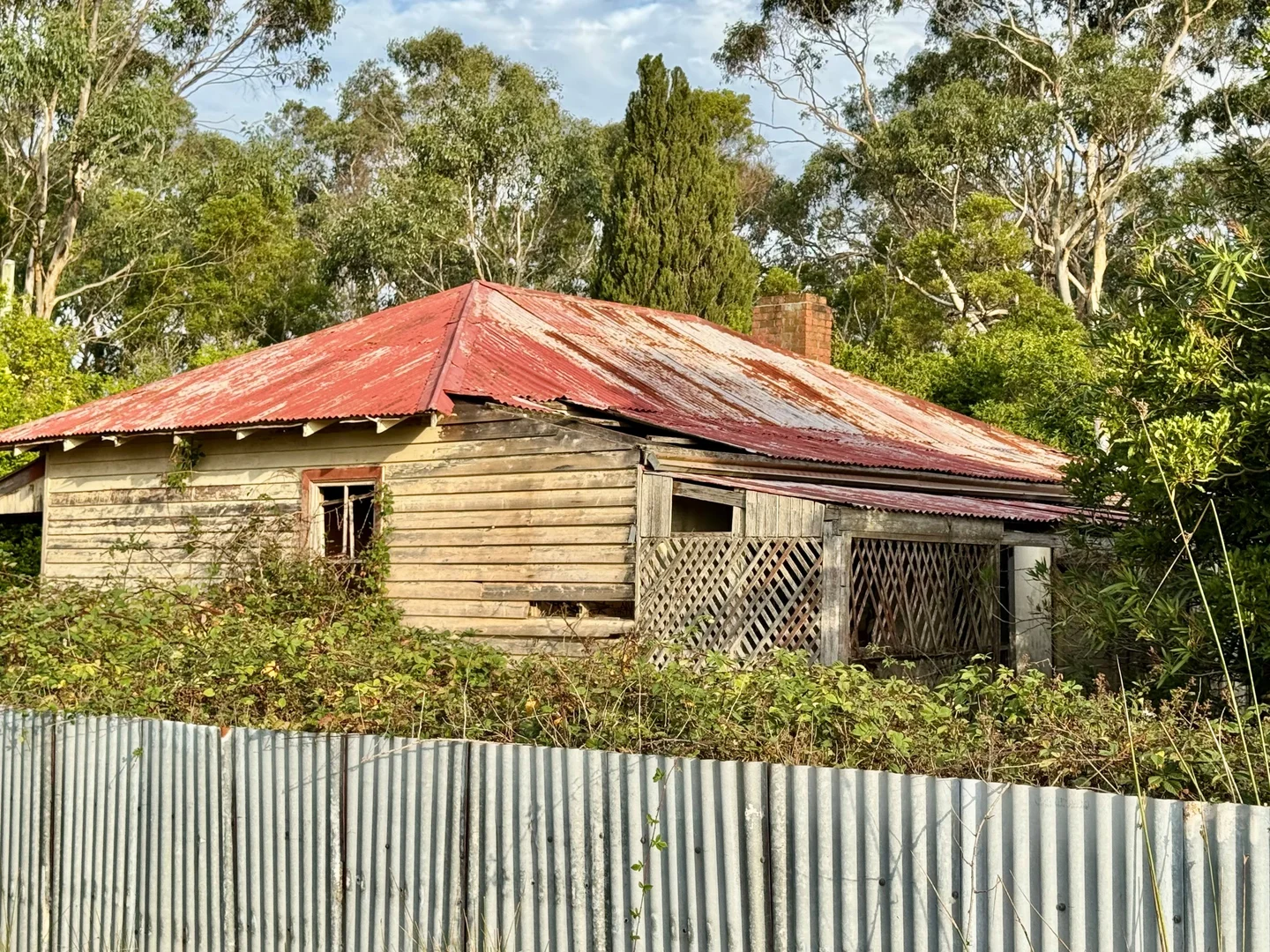 Image 17