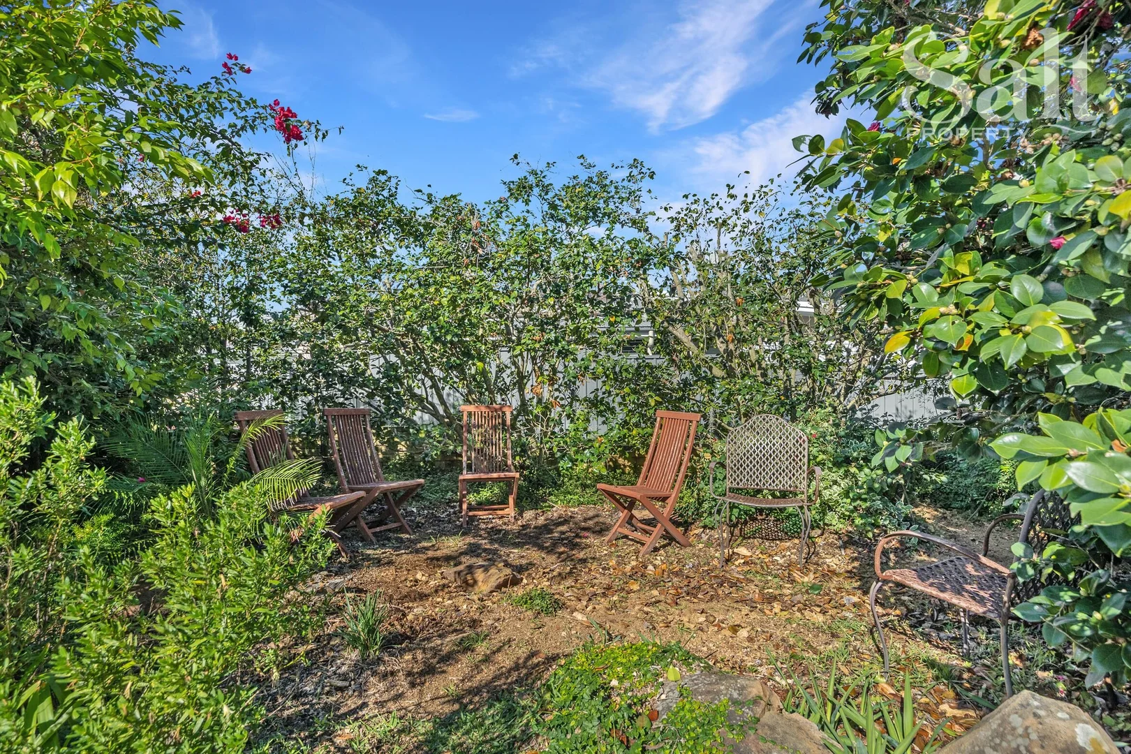 Image 15